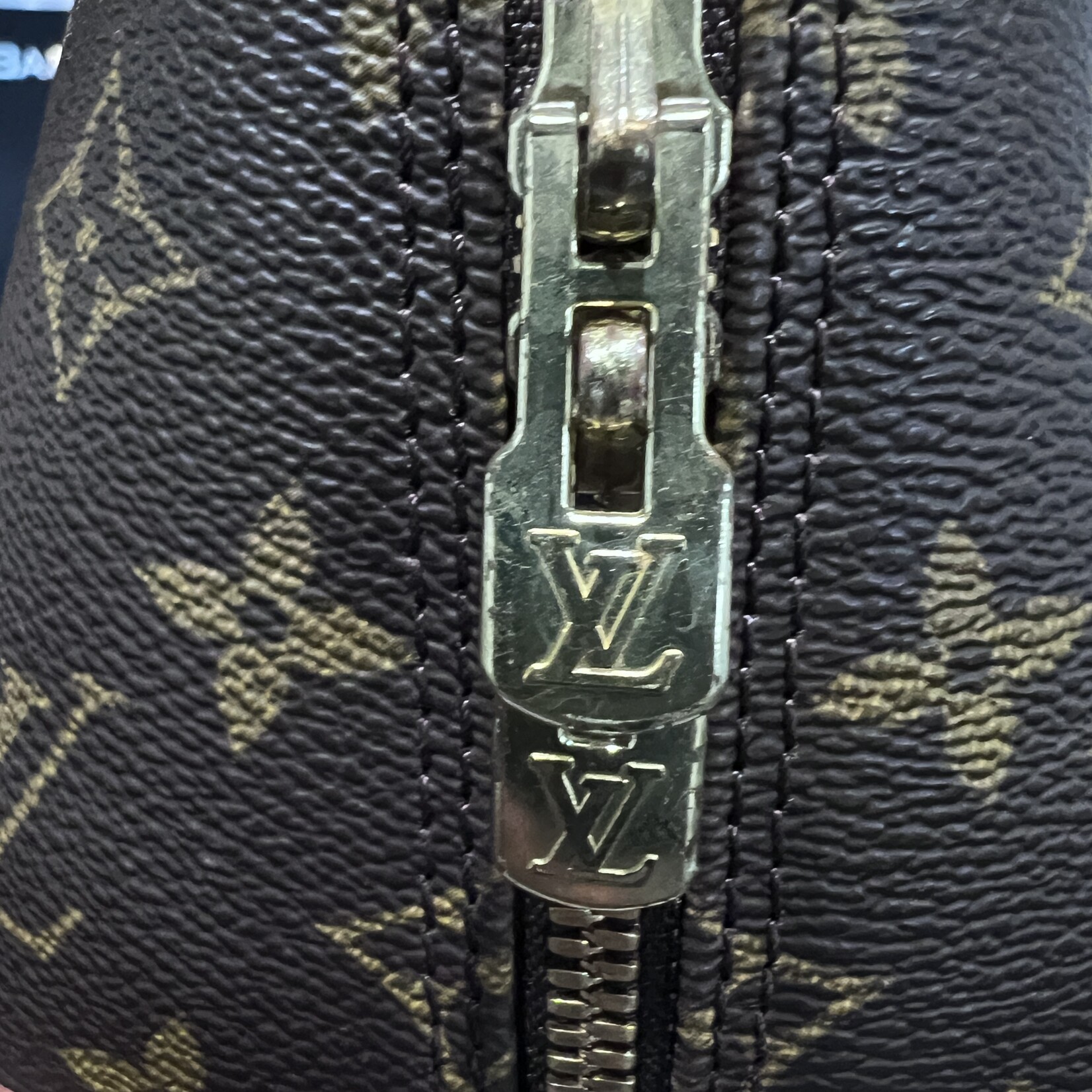 Louis Vuitton Louis Vuitton Alma PM Monogram