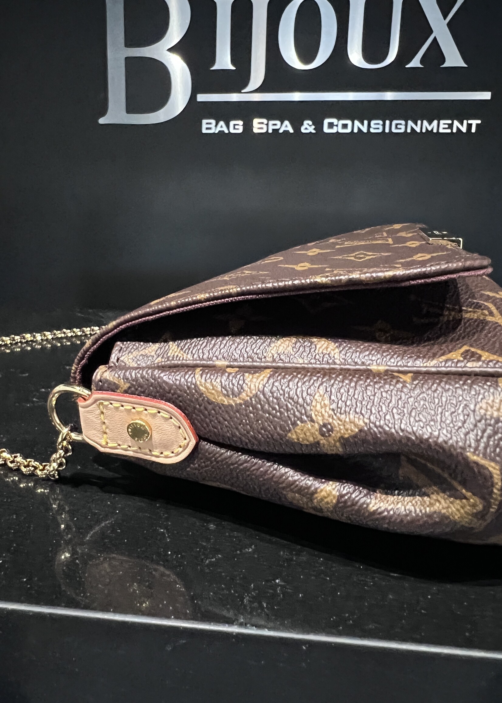 Louis Vuitton SOLD- Louis Vuitton Favourite MM Monogram