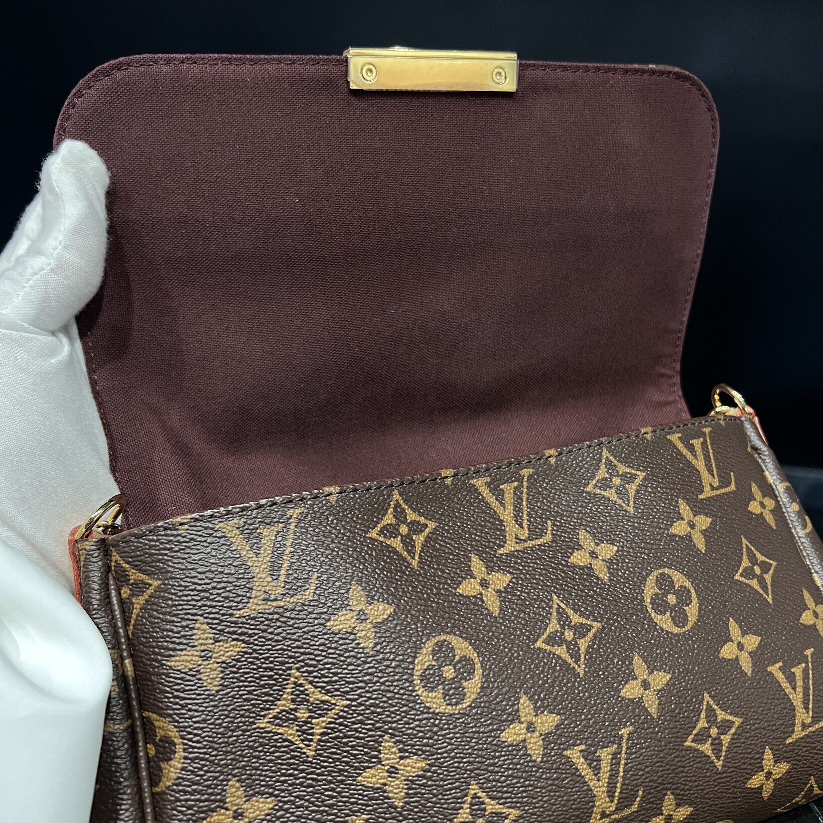 Louis Vuitton Louis Vuitton Favourite MM Monogram