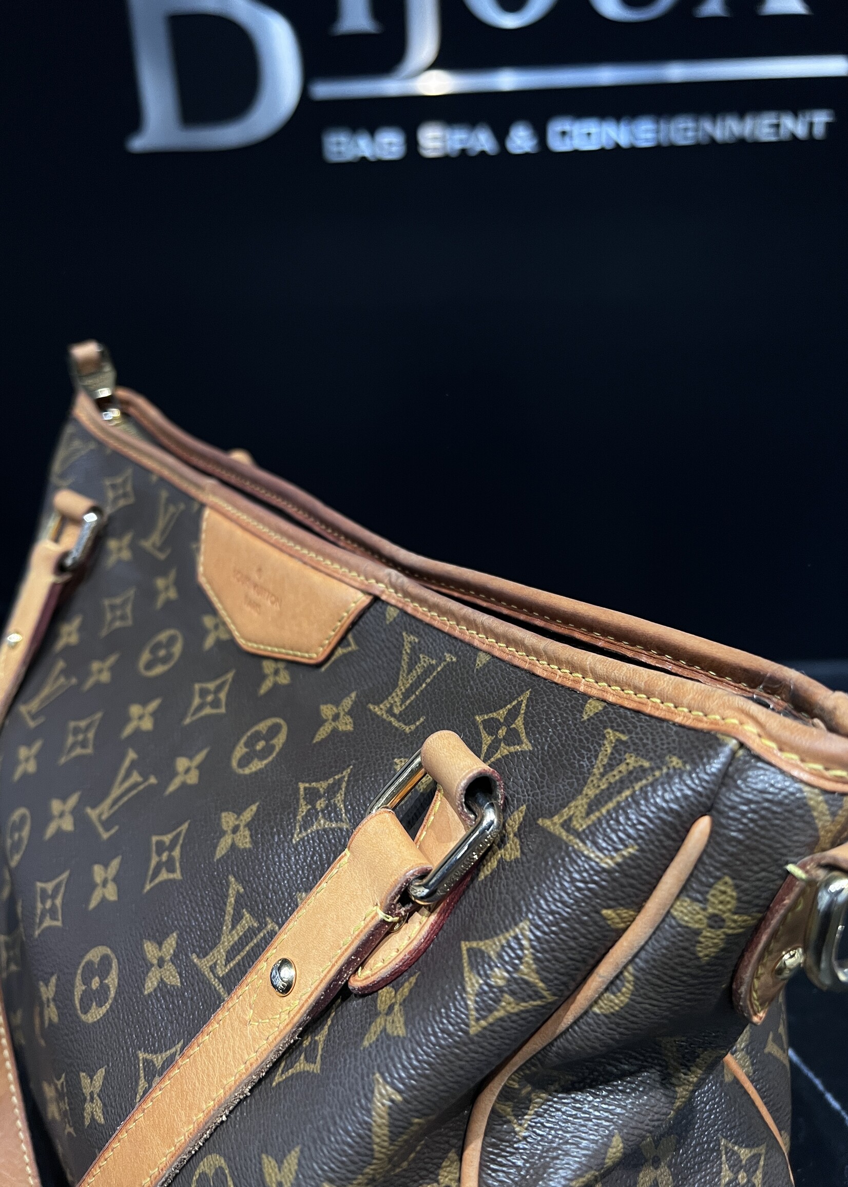 Louis Vuitton SOLD - Louis Vuitton Estrella MM Monogram