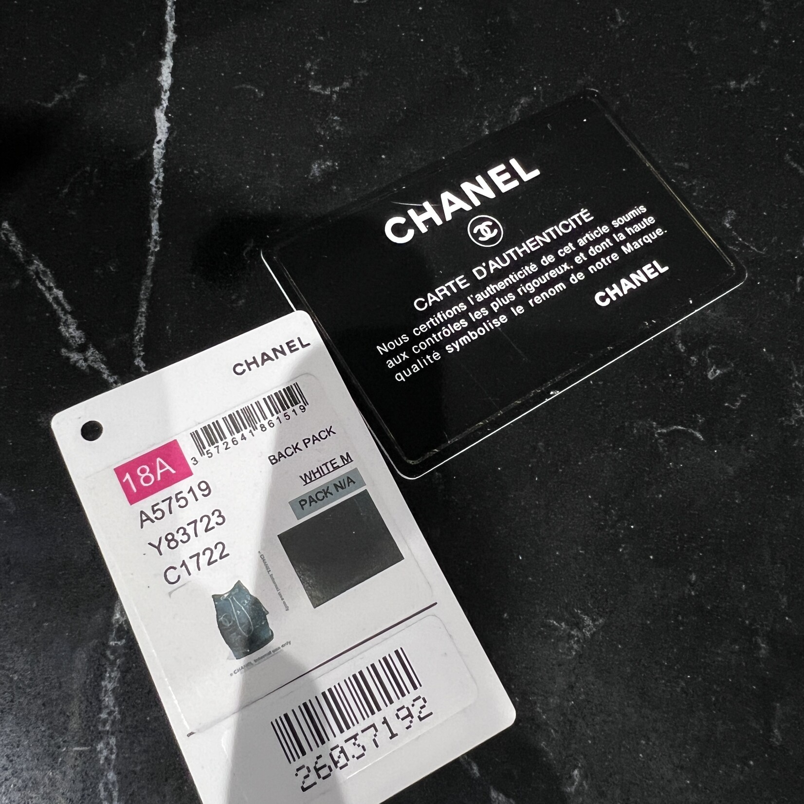 Chanel Chanel 18A Paris Hamburg Sling Backpack