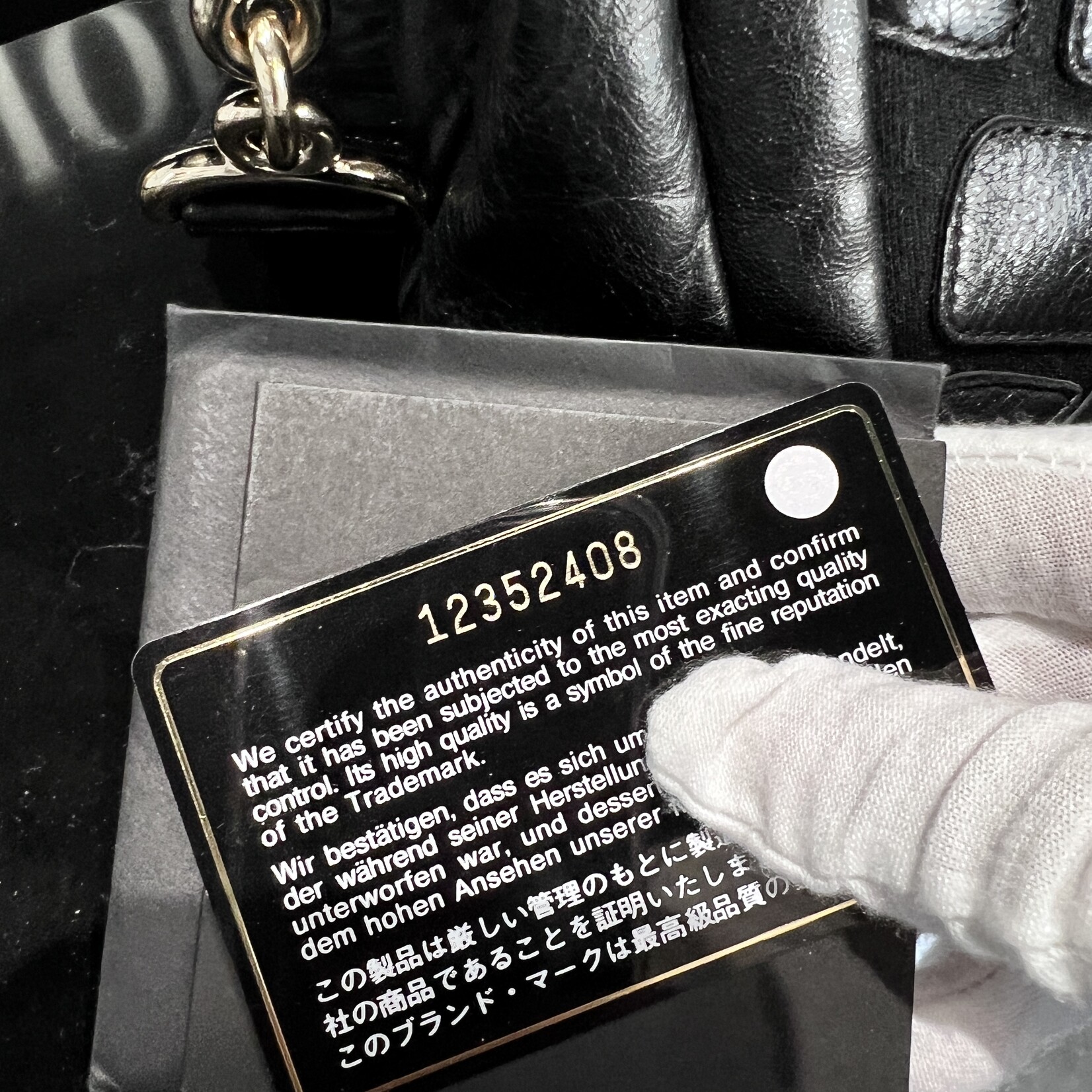 Chanel Chanel Scales Camera Bag