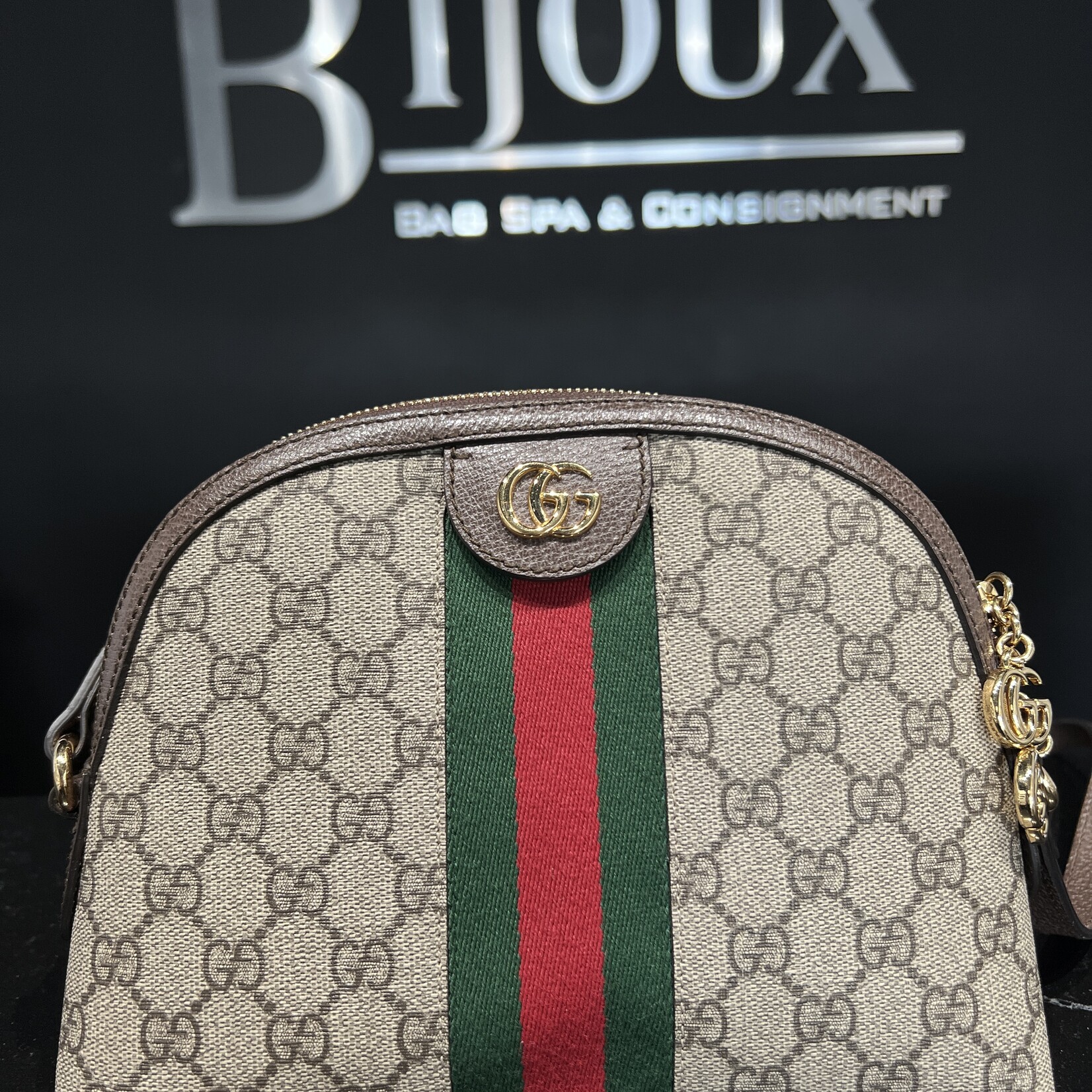 Gucci SOLD - Gucci Dome Ophidia Web