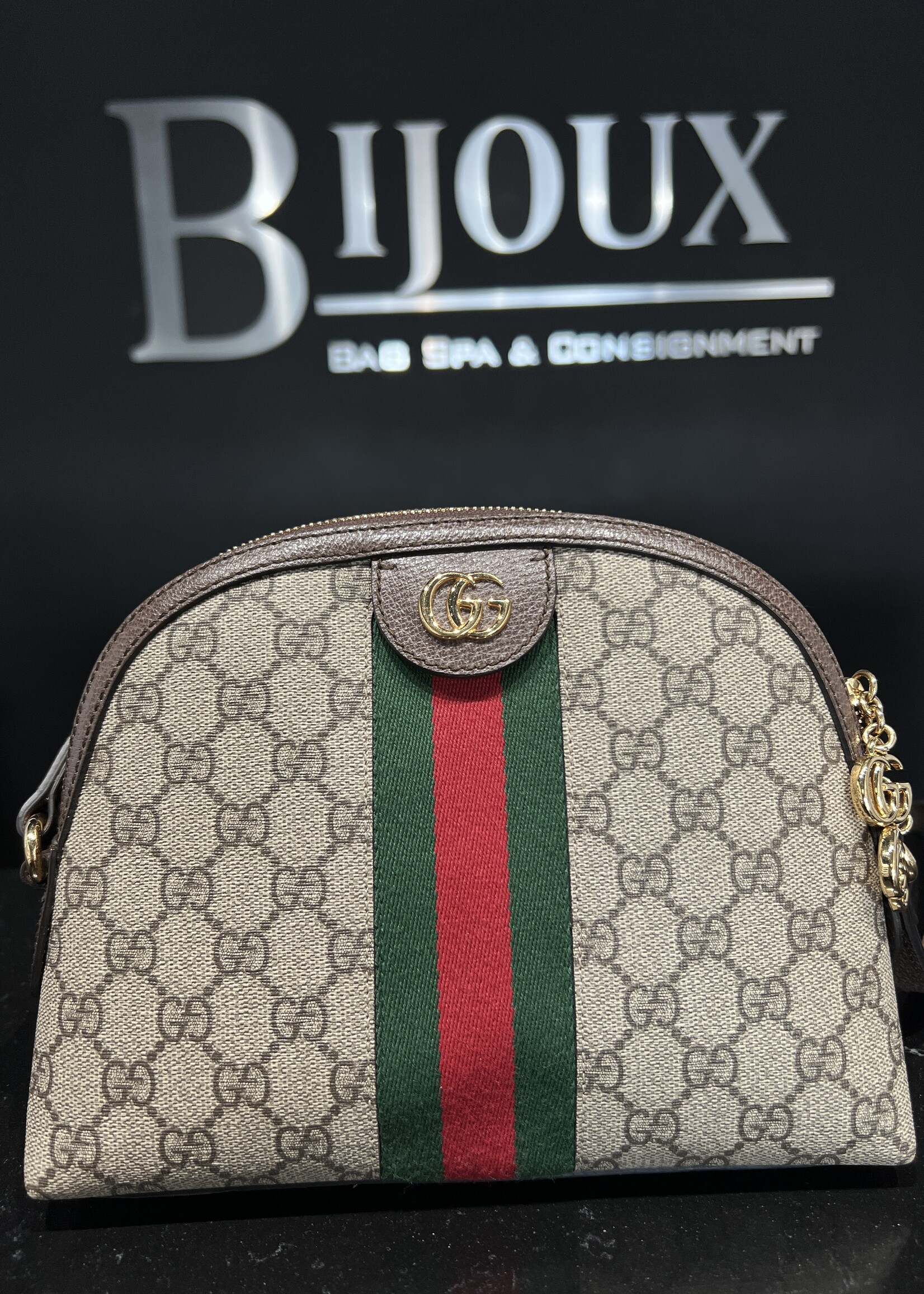 Gucci SOLD - Gucci Dome Ophidia Web