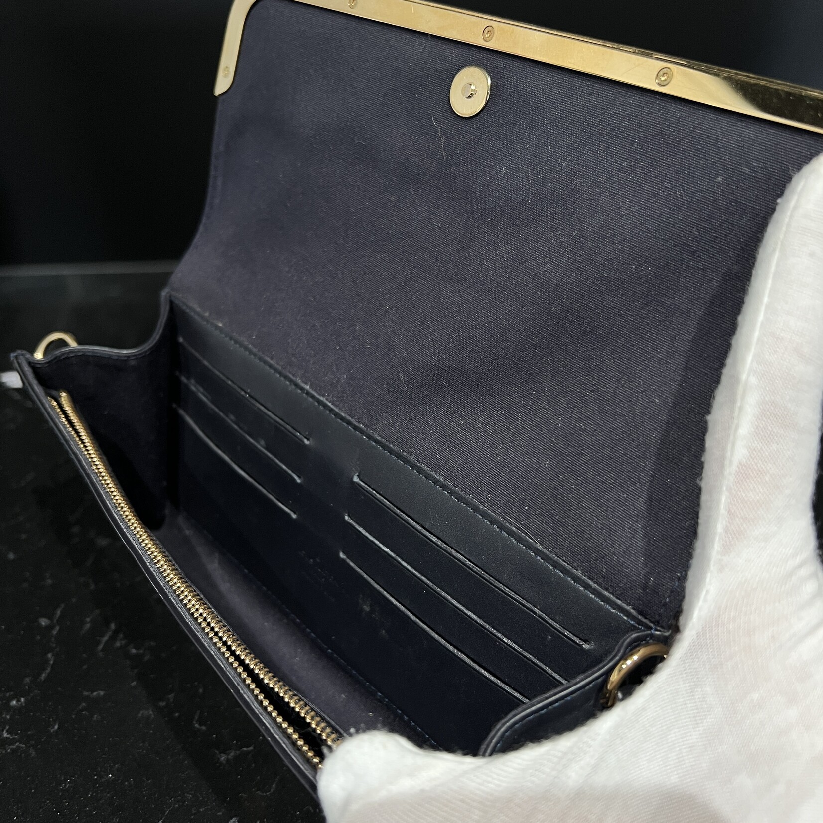 Louis Vuitton Louis Vuitton Infini Purse
