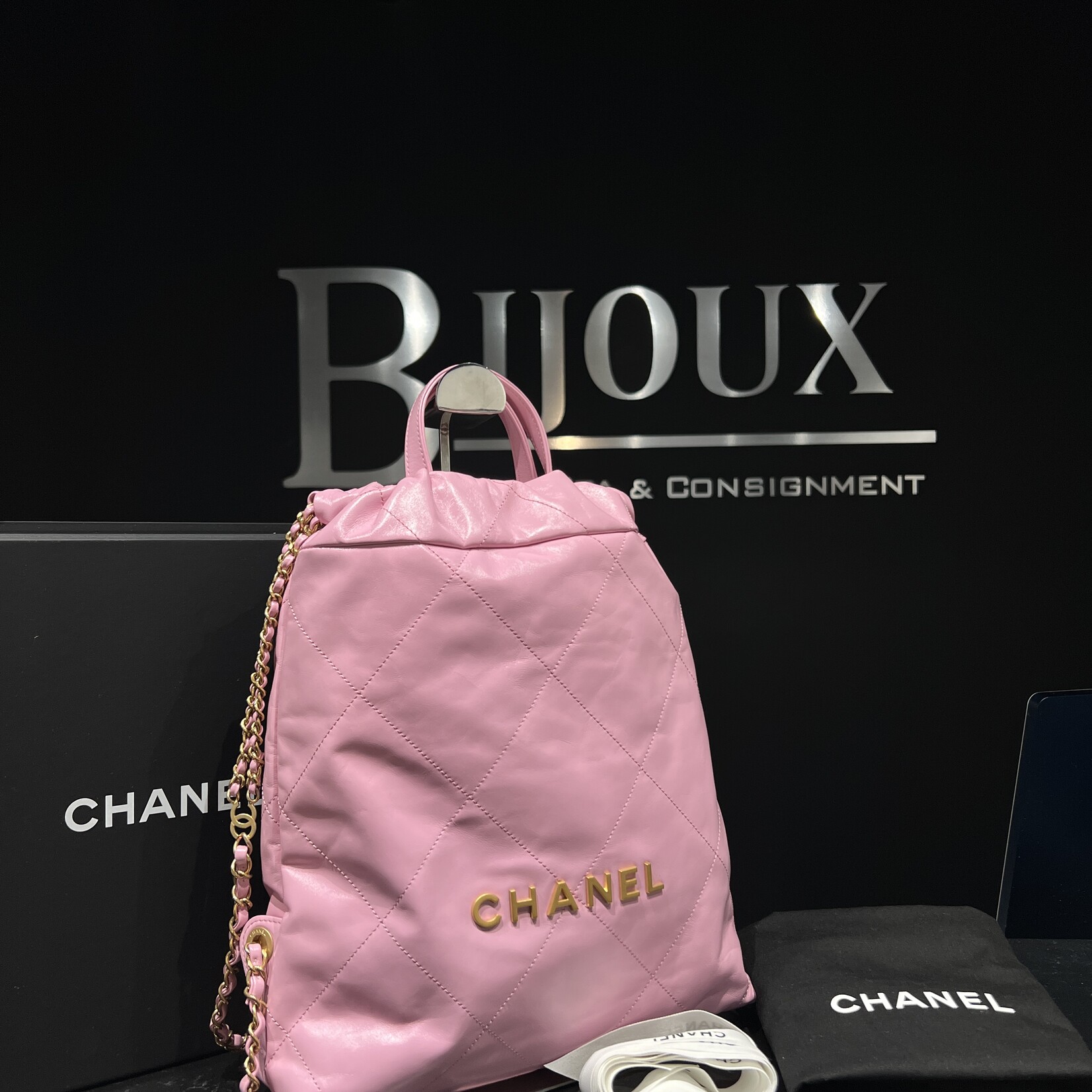 Chanel Chanel 22 Backpack