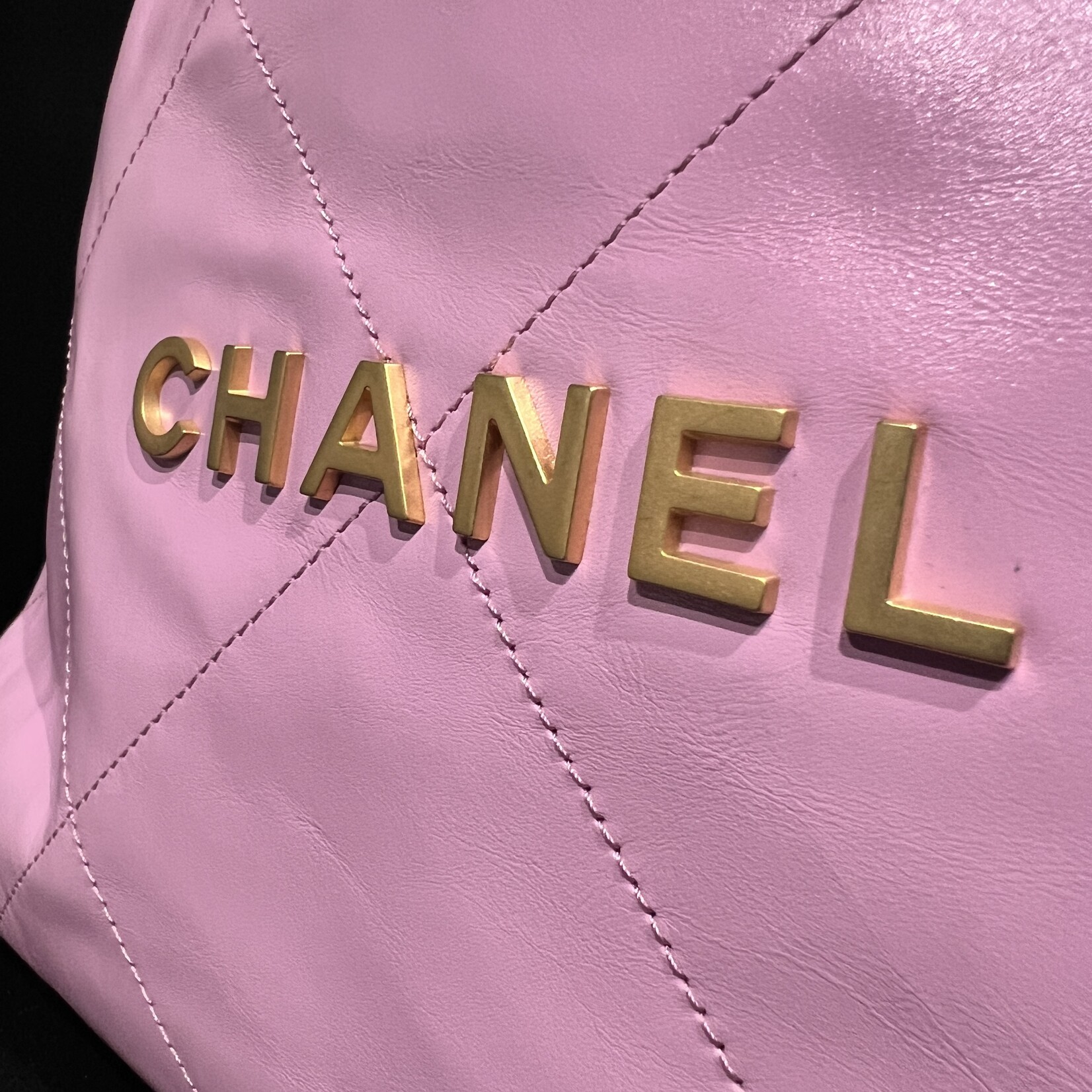 Chanel Chanel 22 Backpack