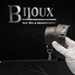 Louis Vuitton Louis Vuitton Strap