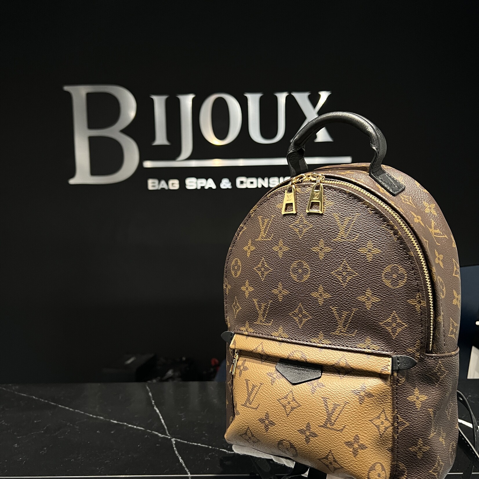 Louis Vuitton Louis Vuitton Palm Spring PM Reverse