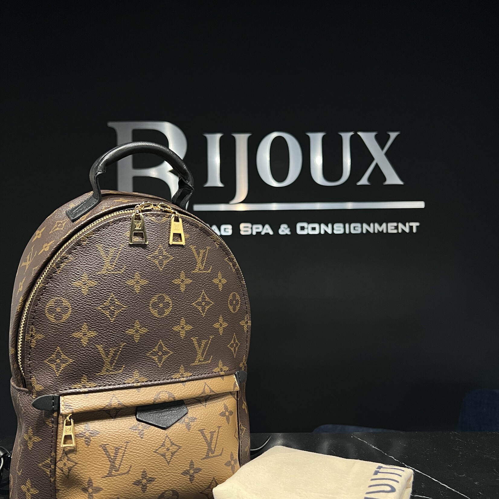 Louis Vuitton Louis Vuitton Palm Spring PM Reverse