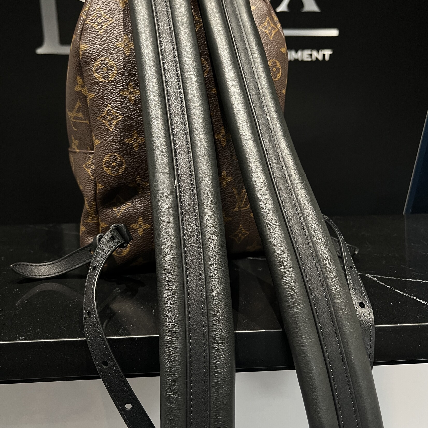 Louis Vuitton Louis Vuitton Palm Spring PM Reverse