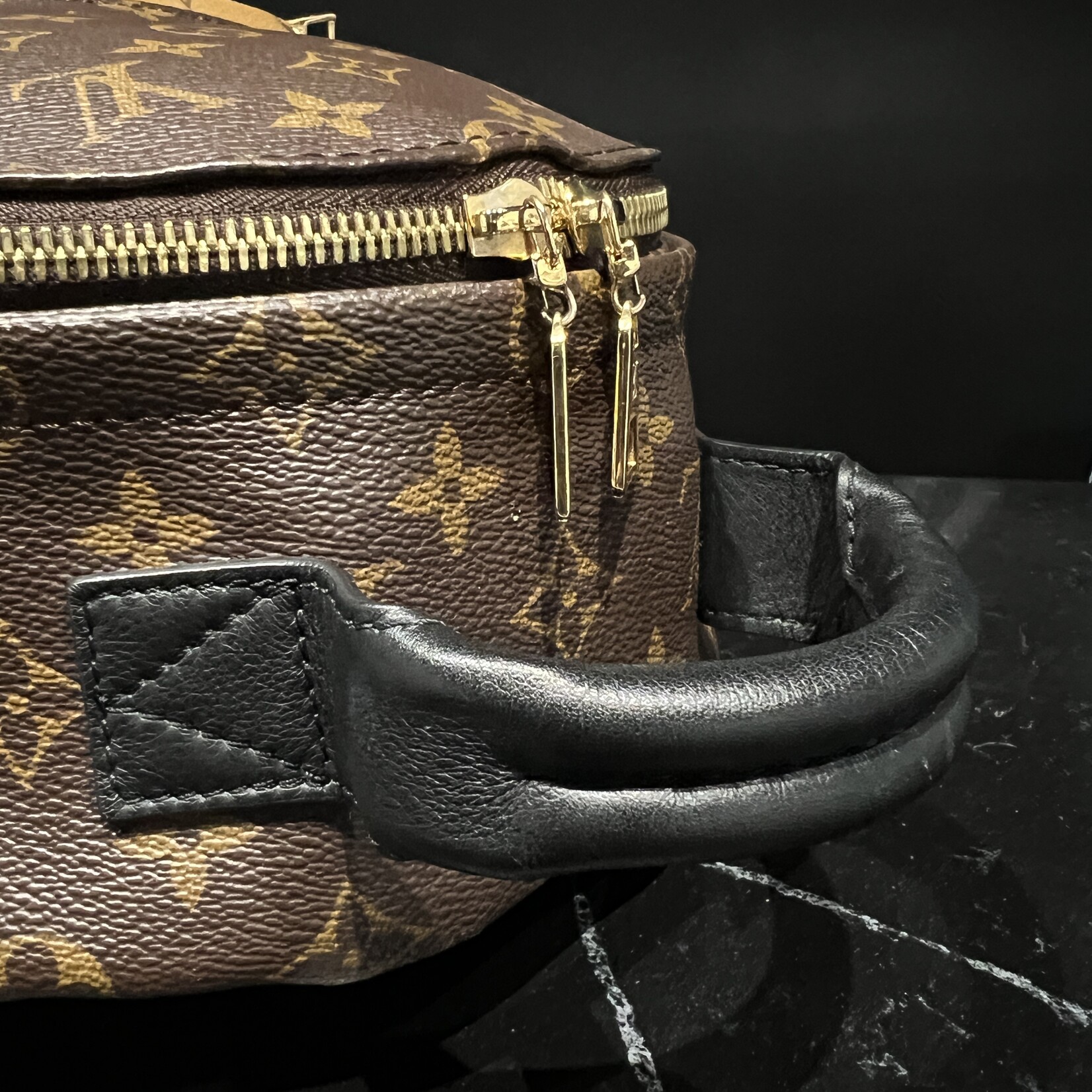 Louis Vuitton Louis Vuitton Palm Spring PM Reverse