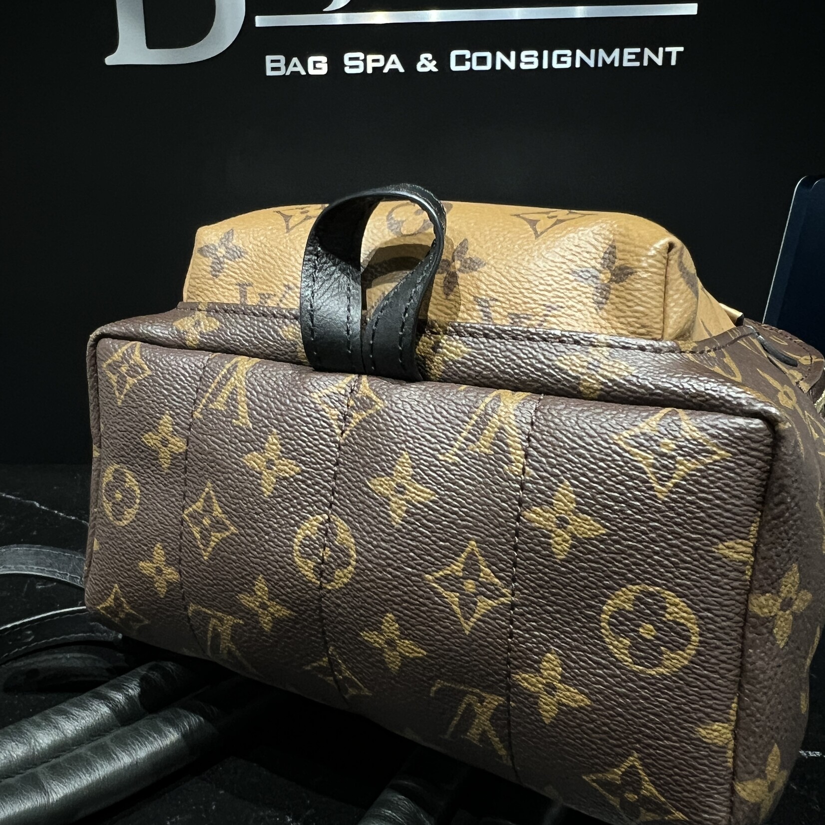 Louis Vuitton Louis Vuitton Palm Spring PM Reverse