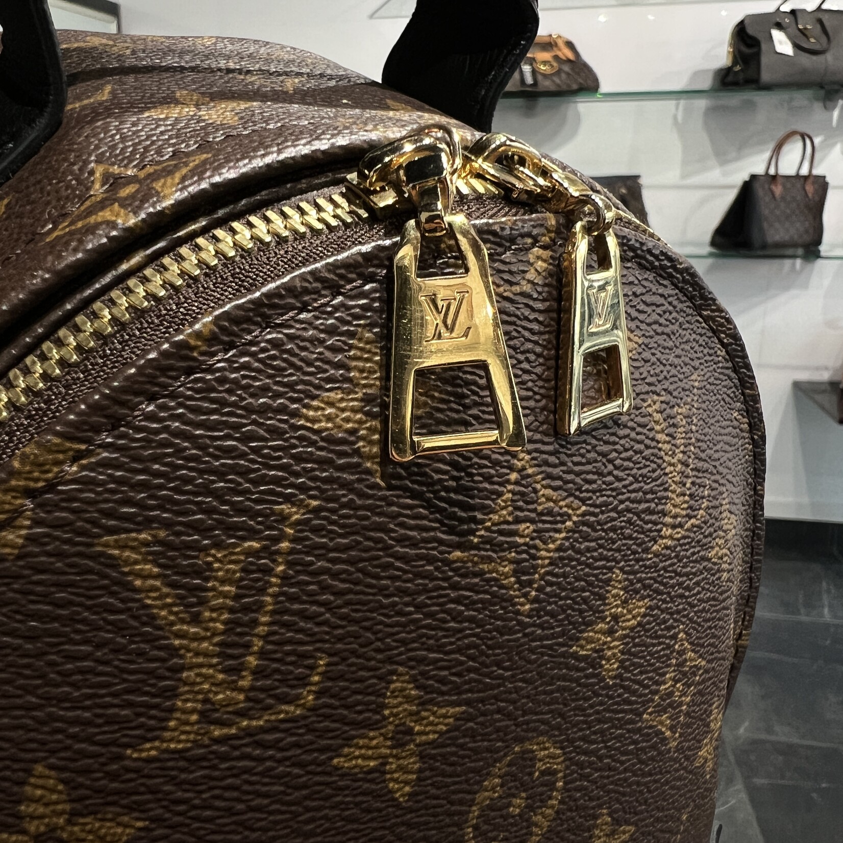 Louis Vuitton Louis Vuitton Palm Spring PM Reverse