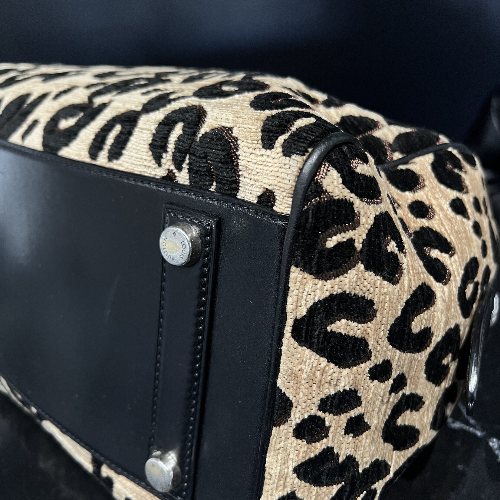 Louis Vuitton Louis Vuitton Stephan Spouse Leopard Speedy