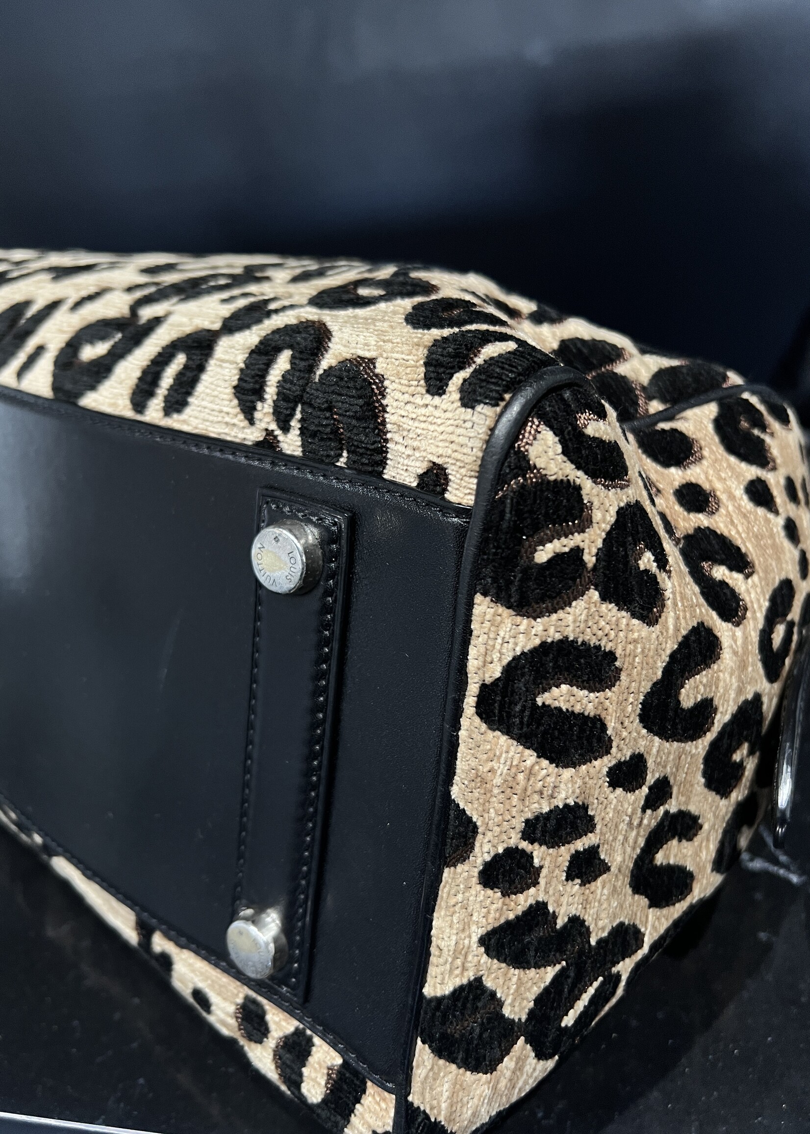Louis Vuitton Louis Vuitton Stephan Spouse Leopard Speedy