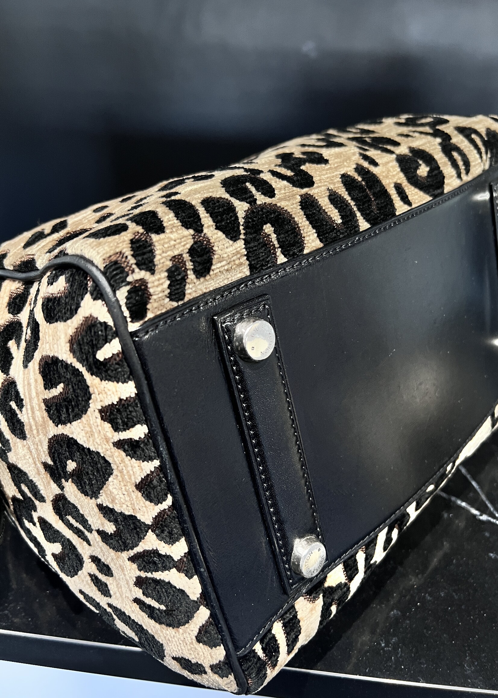 Louis Vuitton Louis Vuitton Stephan Spouse Leopard Speedy