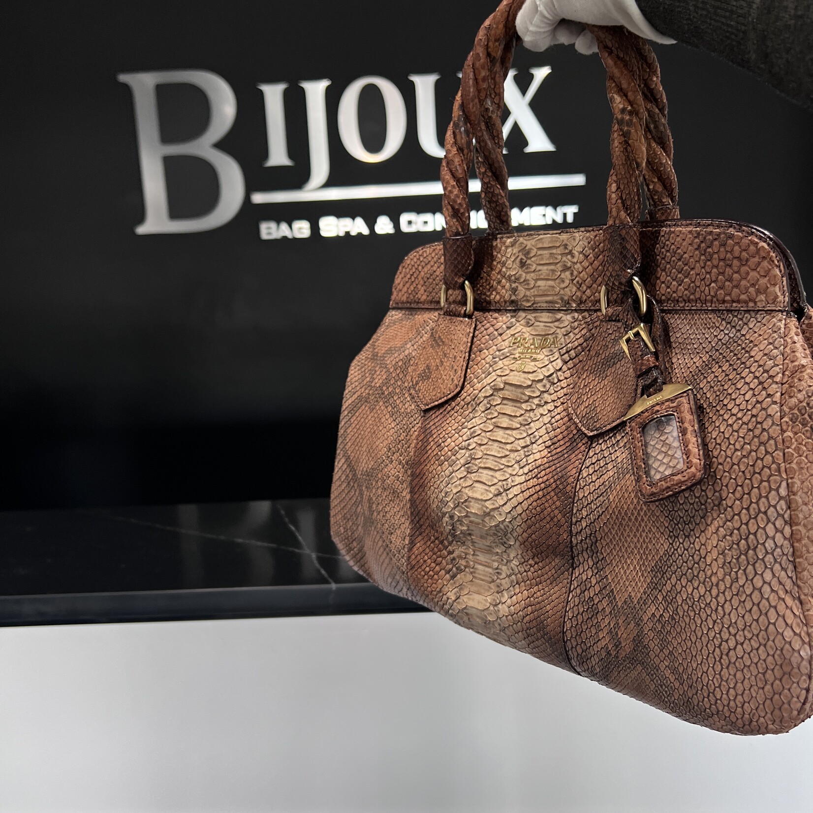 Prada Prada Python Frame Bag