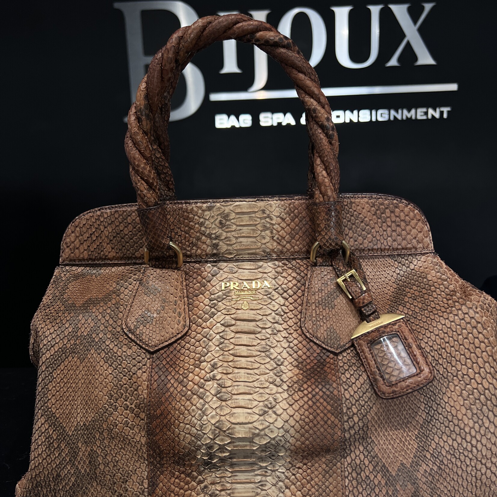 Prada Prada Python Frame Bag