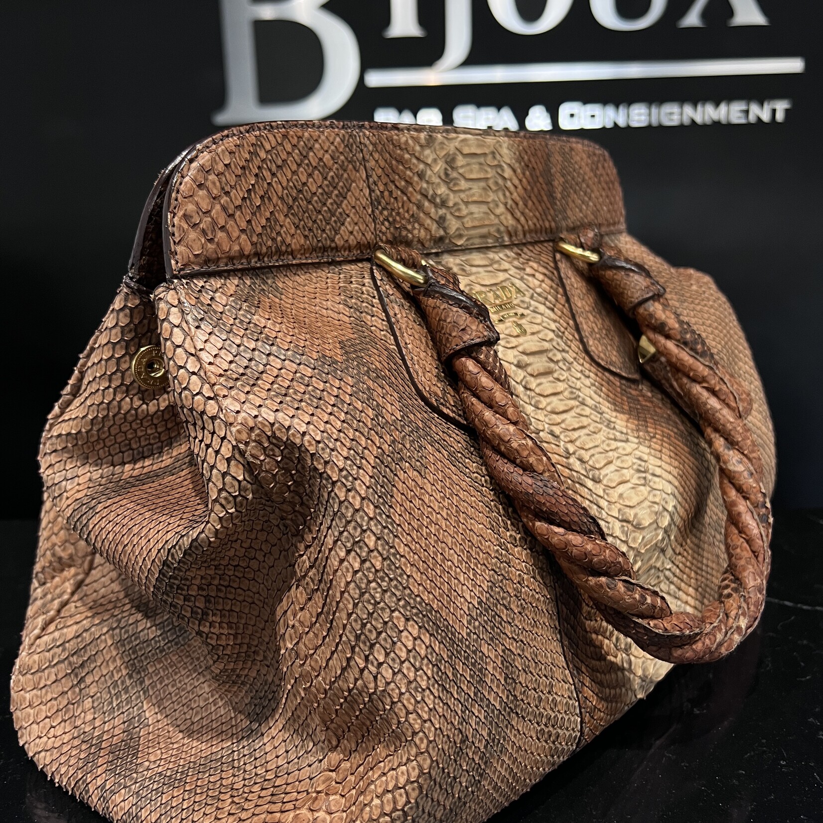 Prada Prada Python Frame Bag