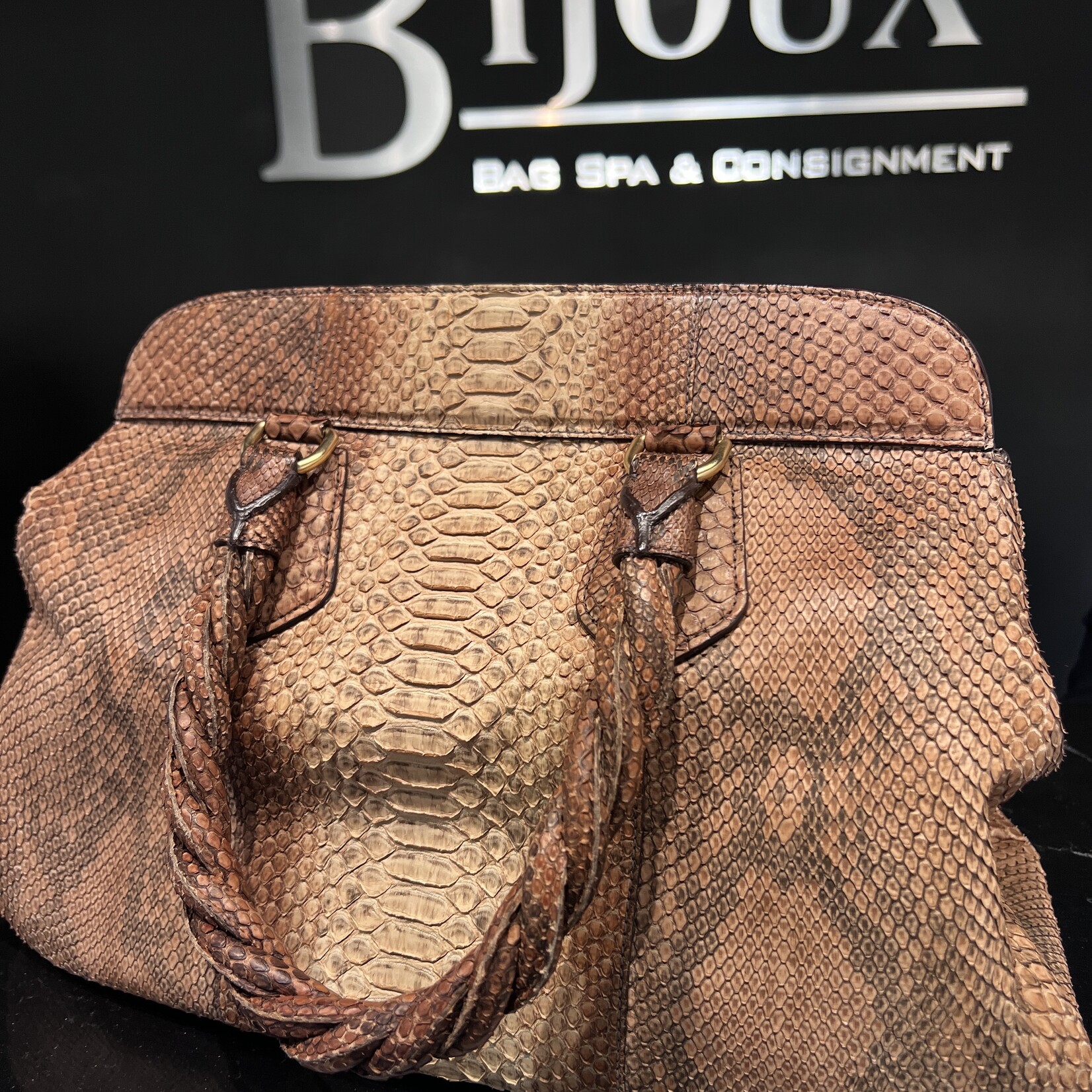 Prada Prada Python Frame Bag