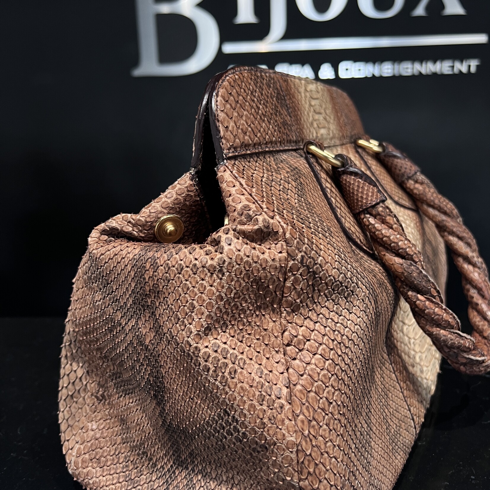 Prada Prada Python Frame Bag