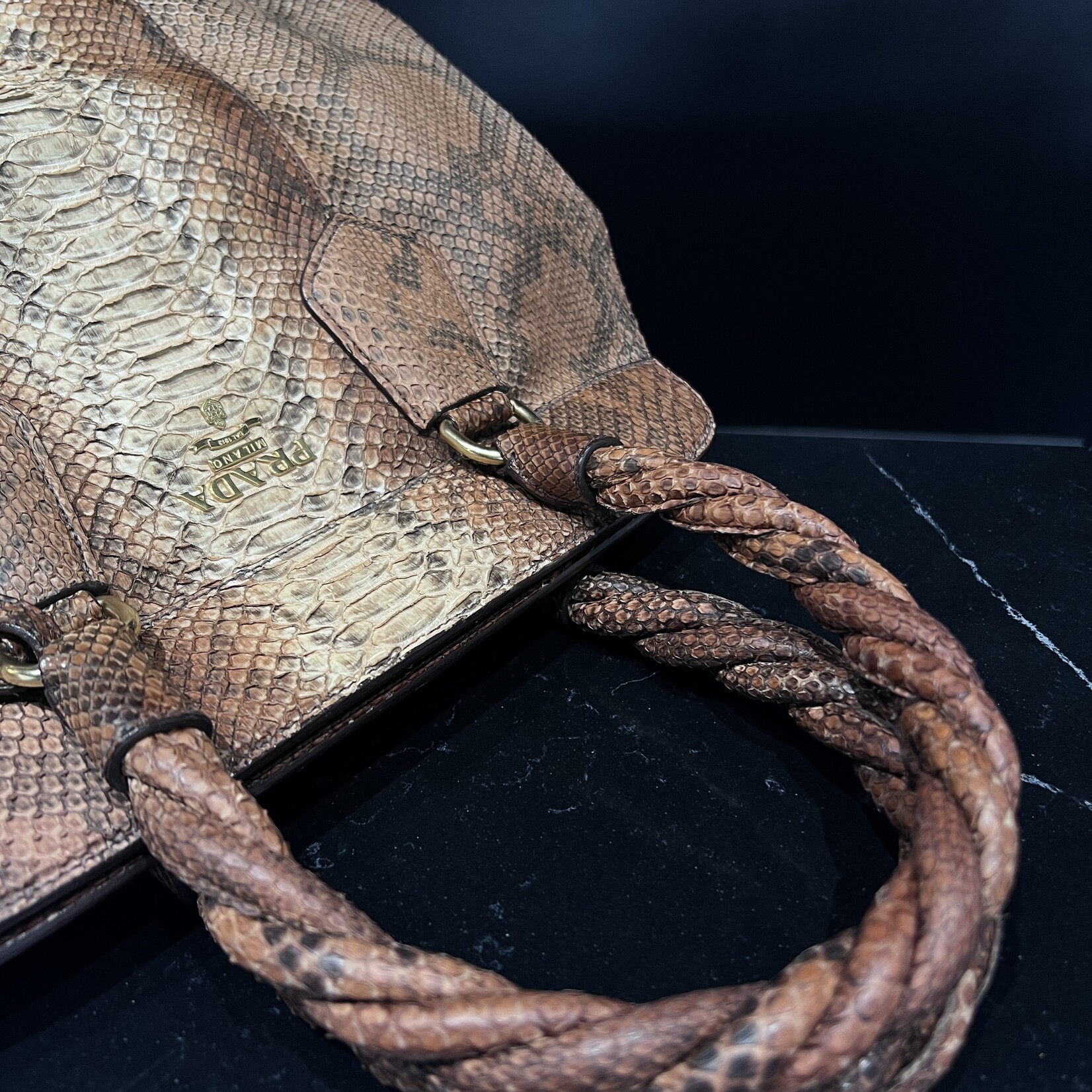 Prada Prada Python Frame Bag