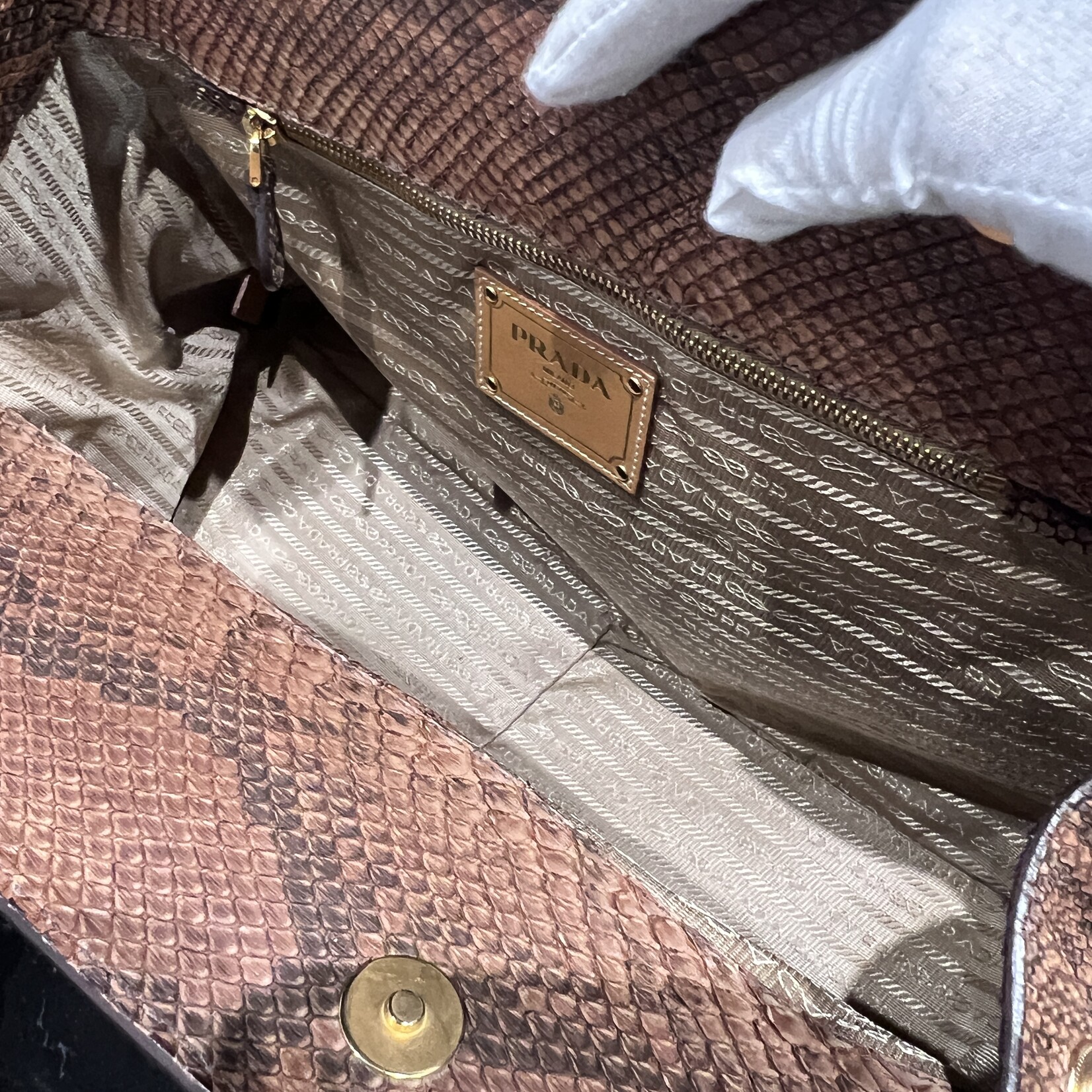 Prada Prada Python Frame Bag