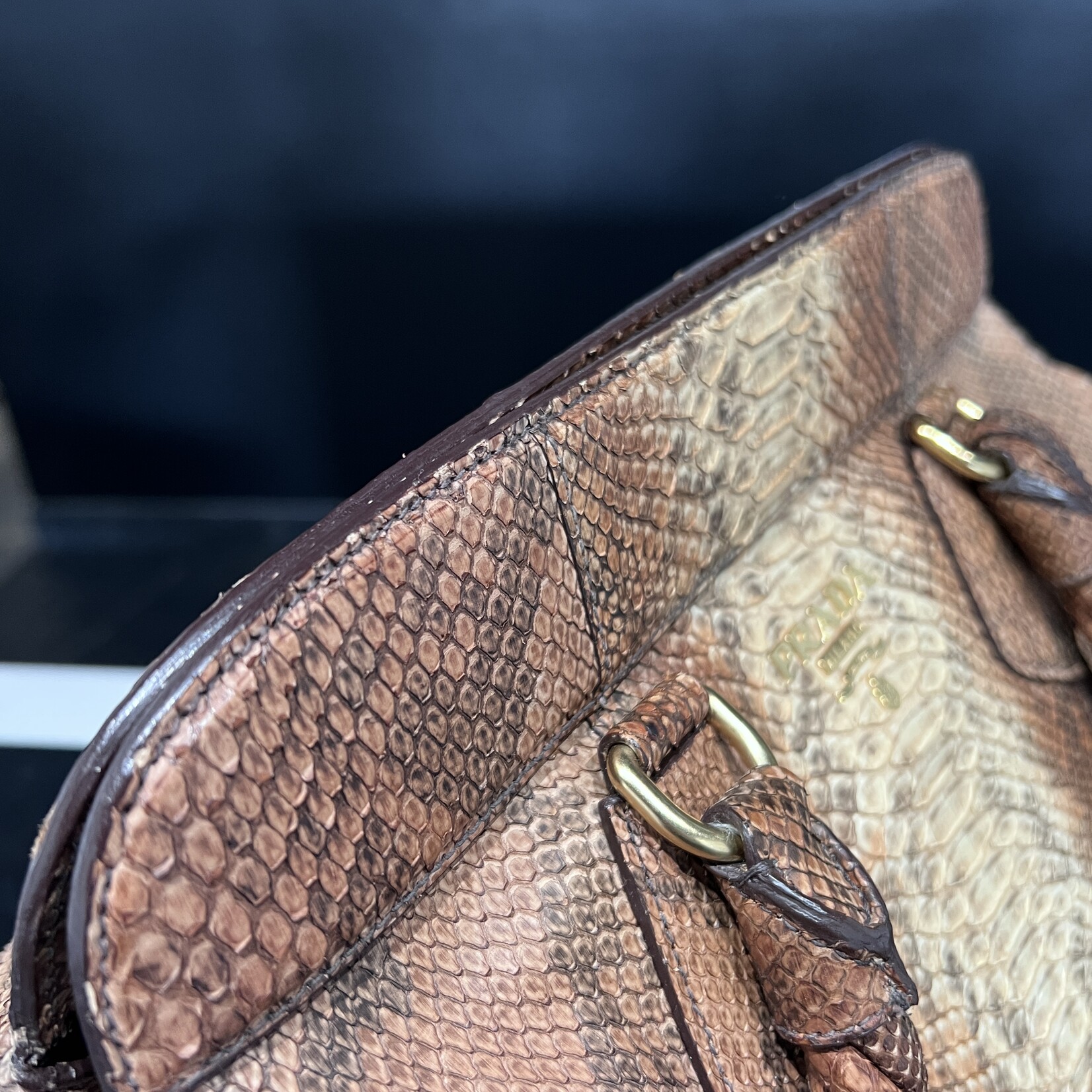 Prada Prada Python Frame Bag