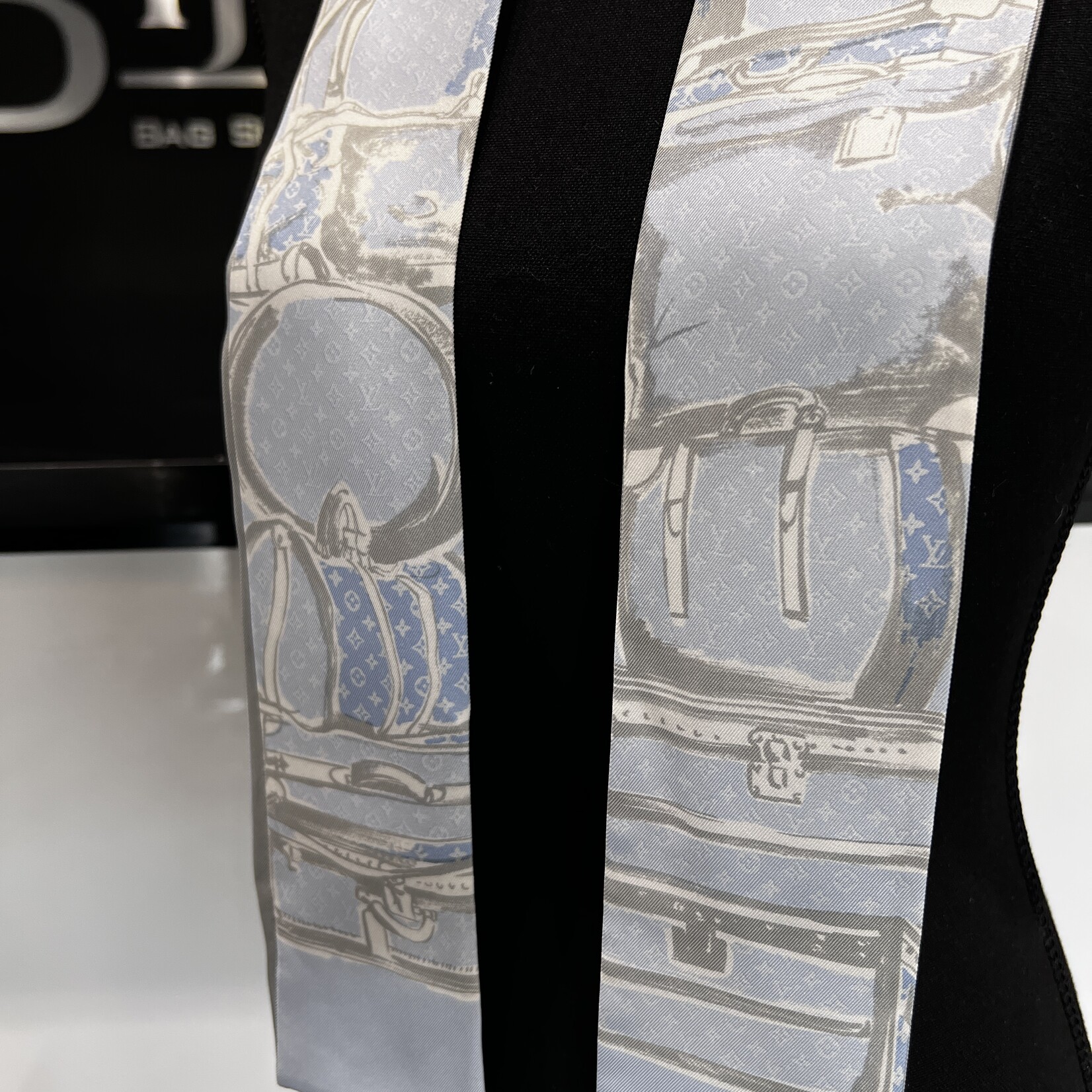 Louis Vuitton Louis Vuitton Trunks Bandeau Siel