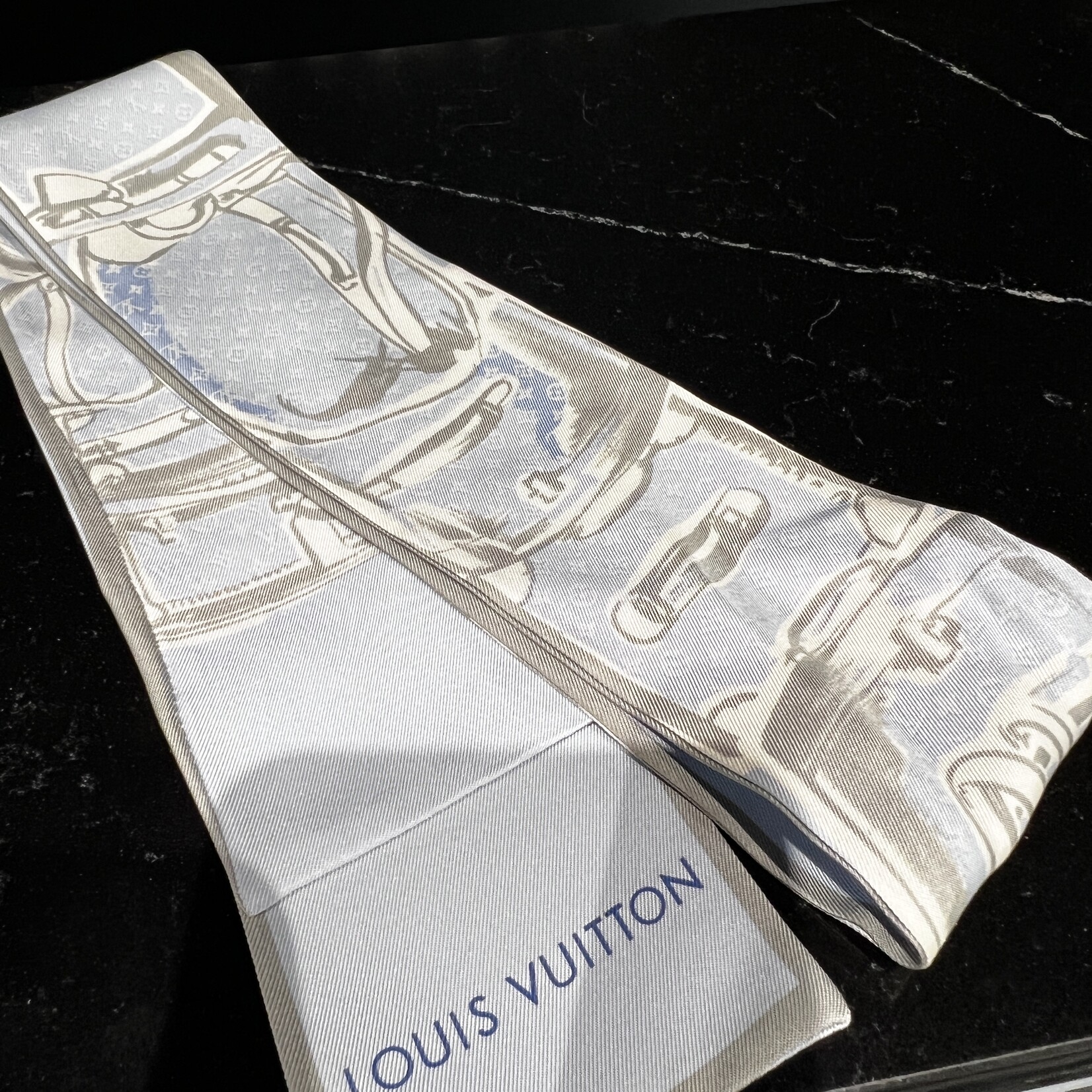 Louis Vuitton Louis Vuitton Trunks Bandeau Siel