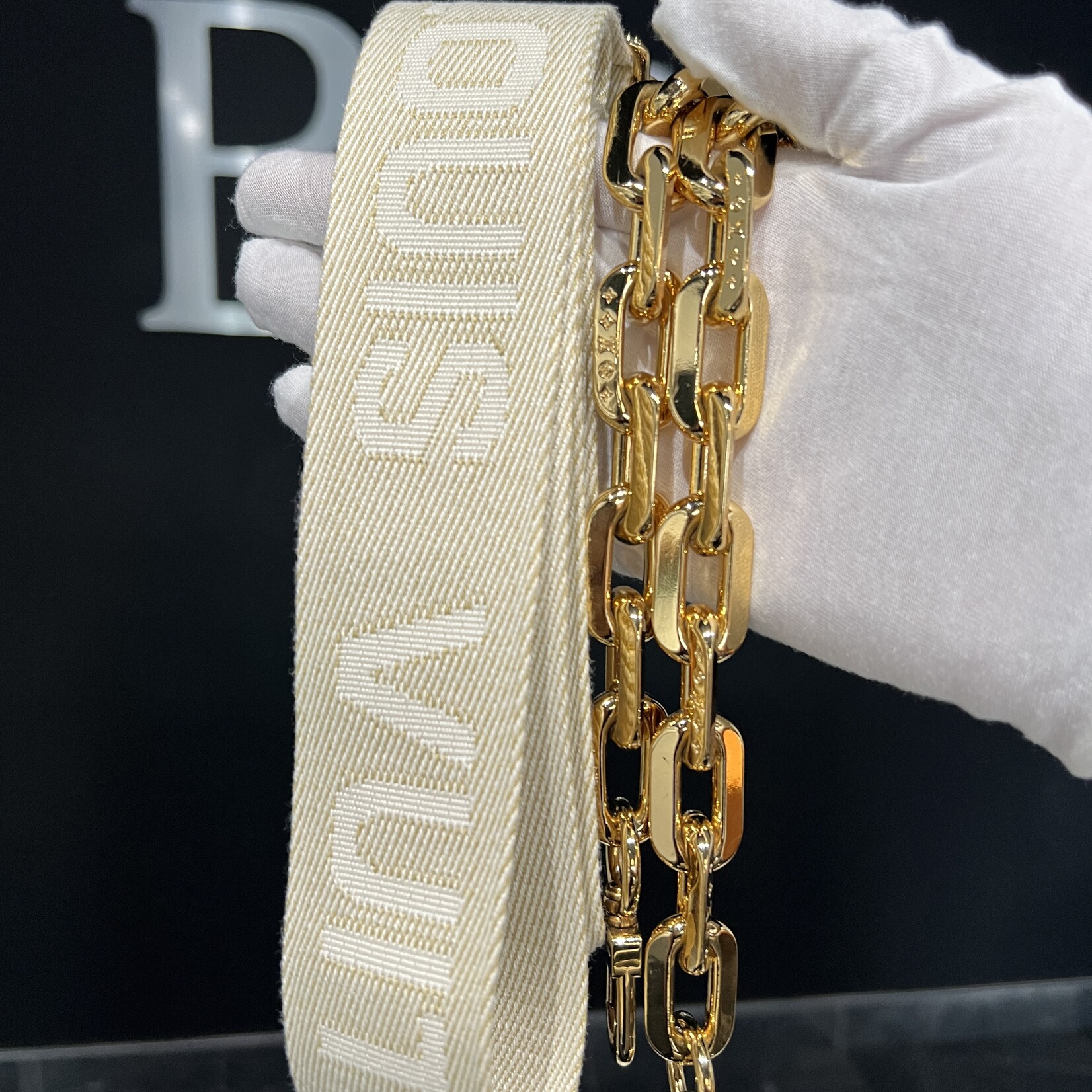 Louis Vuitton Louis Vuitton Coussin PM White