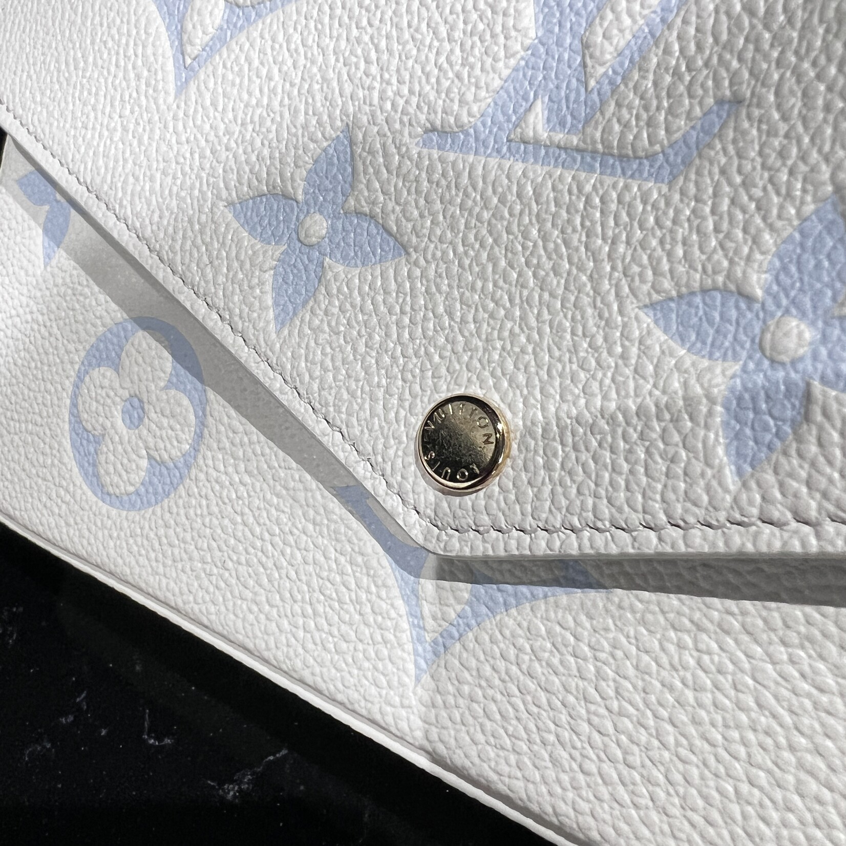 Louis Vuitton Louis Vuitton Felicie pochette Bicolor