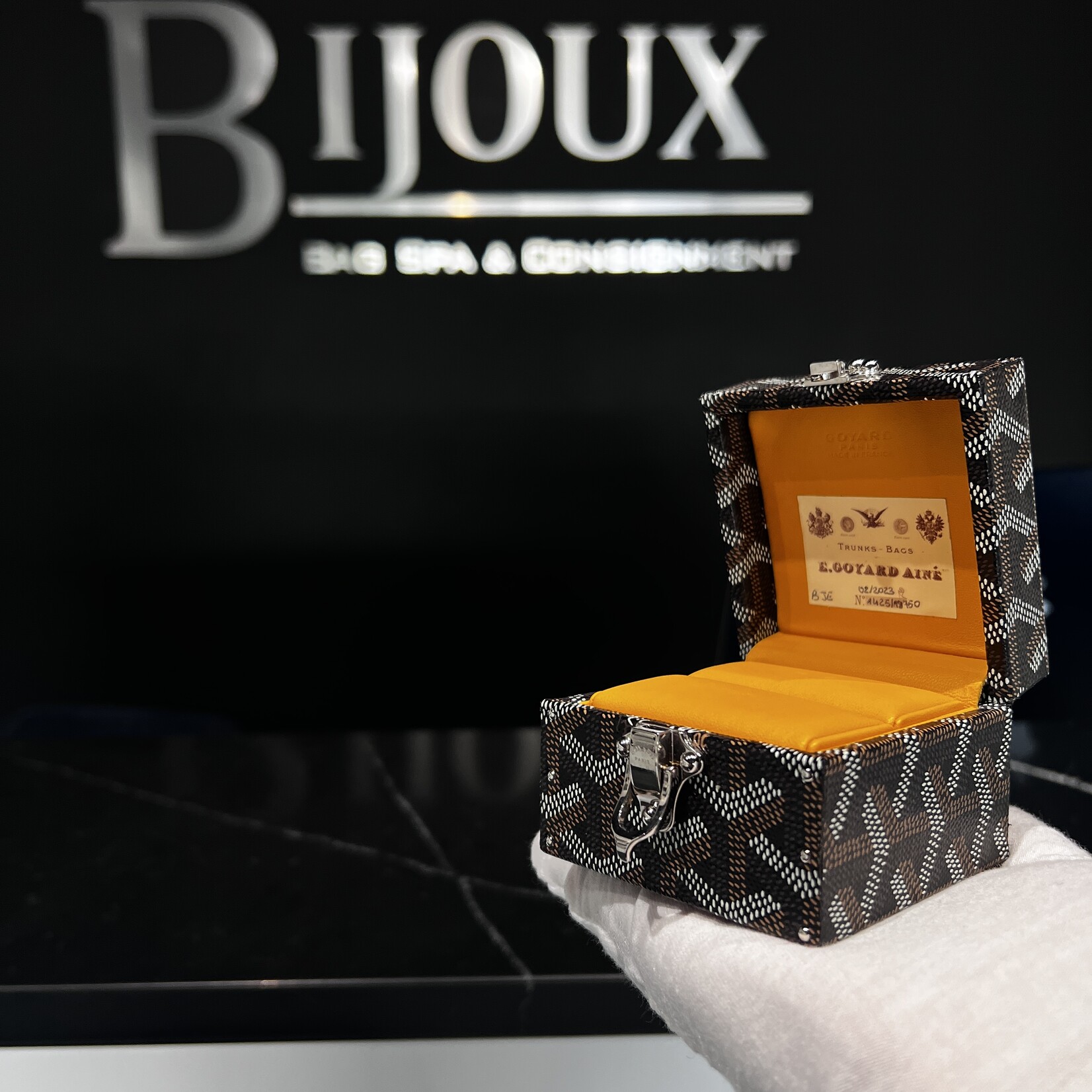 Goyard Goyard Ring Box Trunk