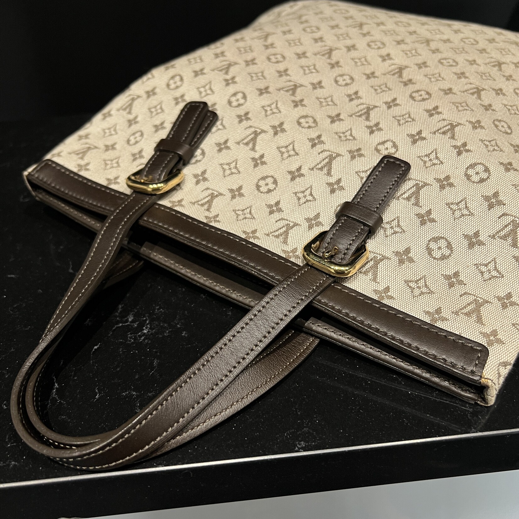 Louis Vuitton SOLD- Louis Vuitton Mini Lin Francois