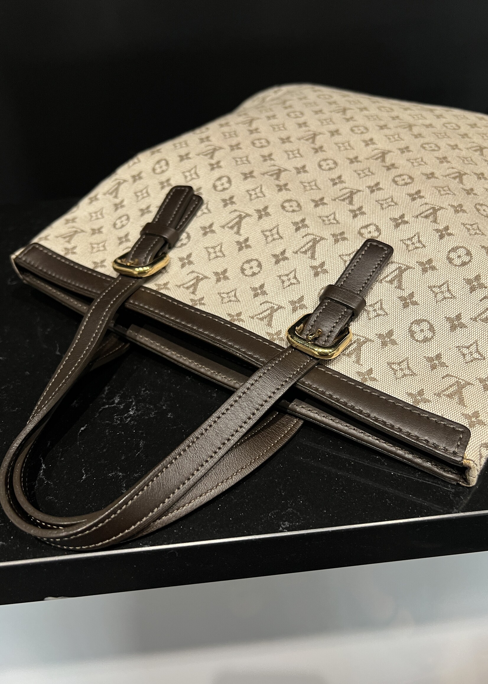 Louis Vuitton SOLD- Louis Vuitton Mini Lin Francois