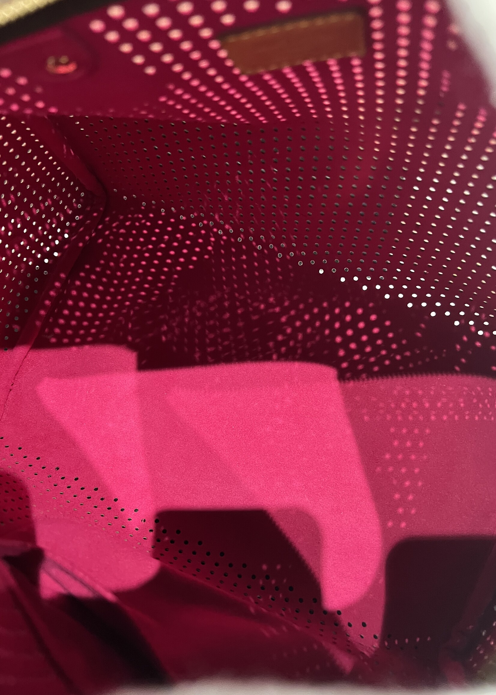 Louis Vuitton Louis Vuitton Perforated Speedy 30