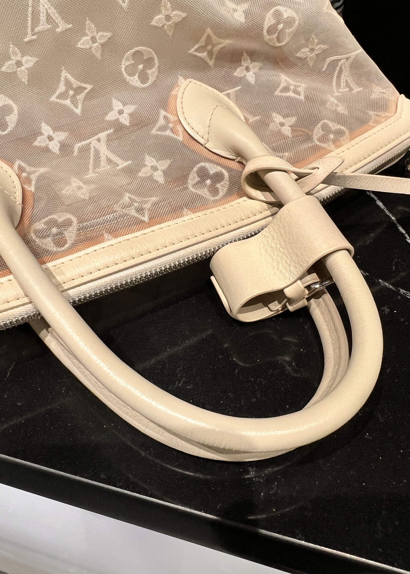 Louis Vuitton SOLD - Louis Vuitton Transparence Lock It