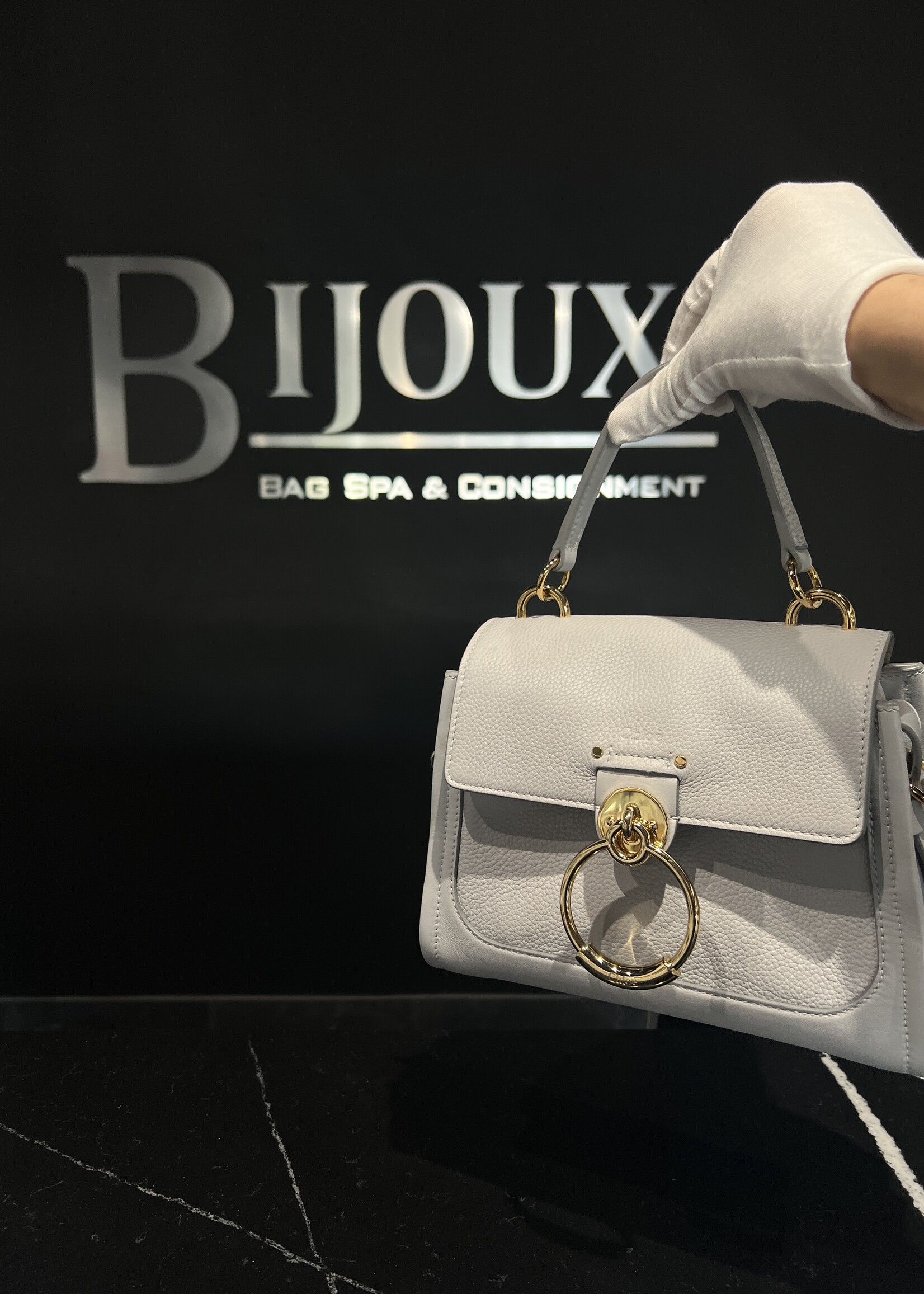 Chloe SOLD - Chloe Mini Tessday