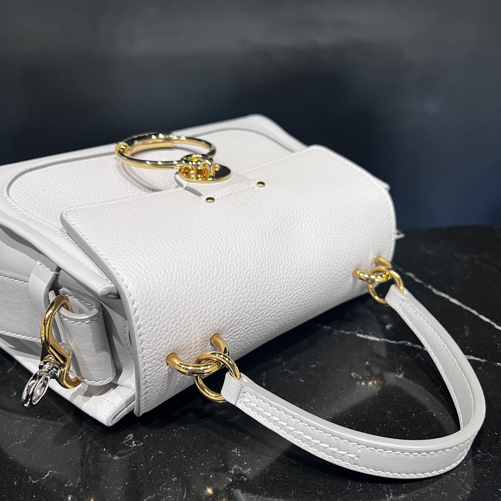 Chloe SOLD - Chloe Mini Tessday