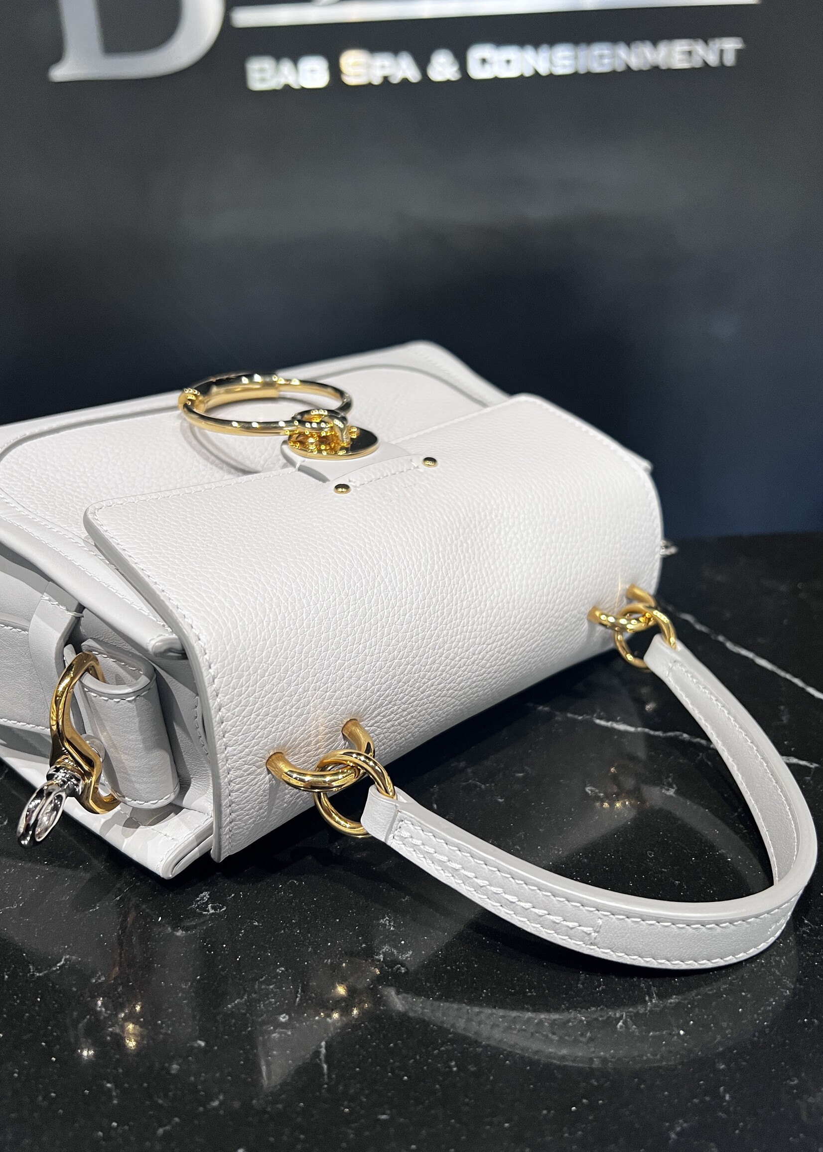 Chloe SOLD - Chloe Mini Tessday