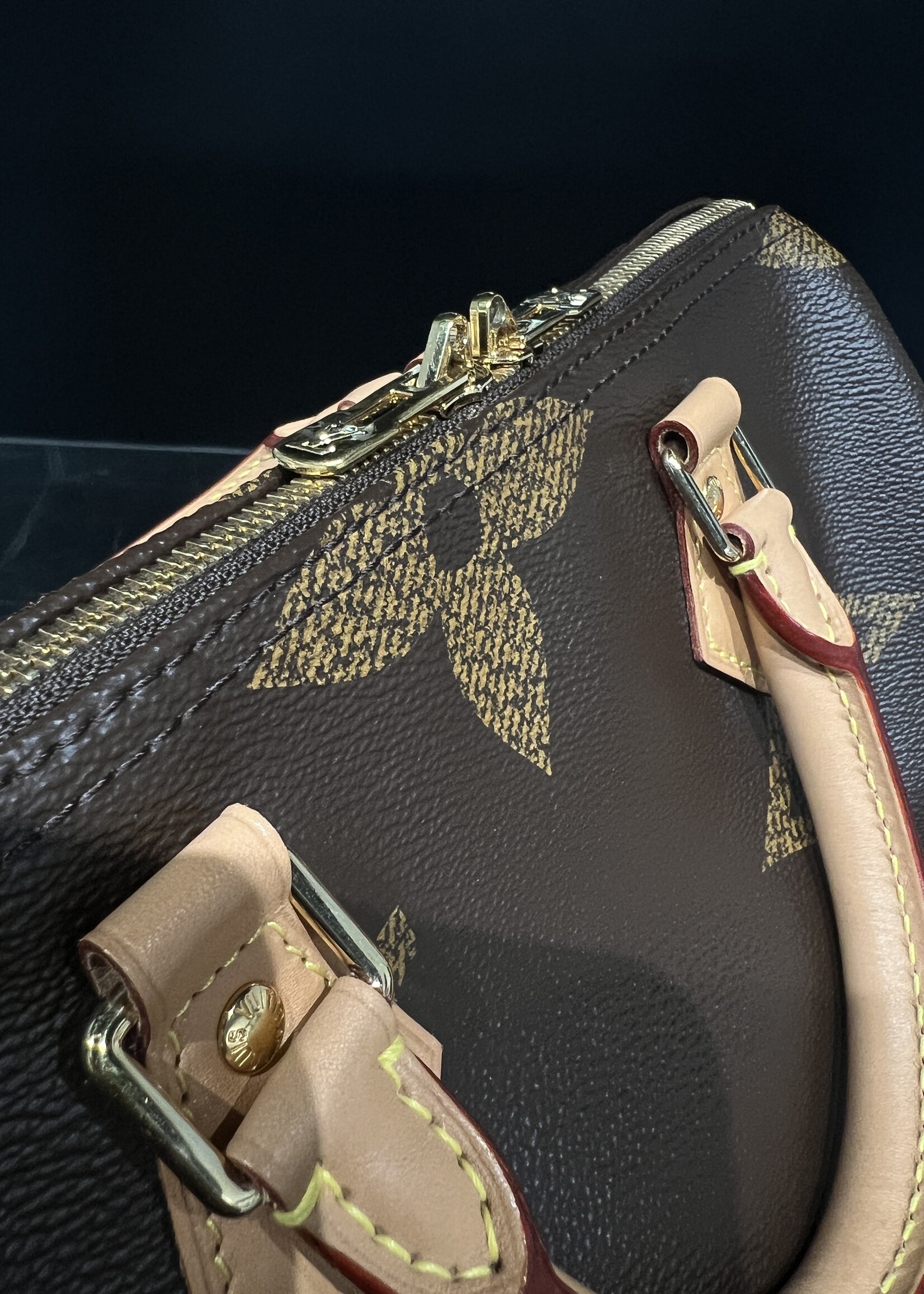 Louis Vuitton SOLD - Louis Vuitton Speedy 30 Reverse Giant Monogram