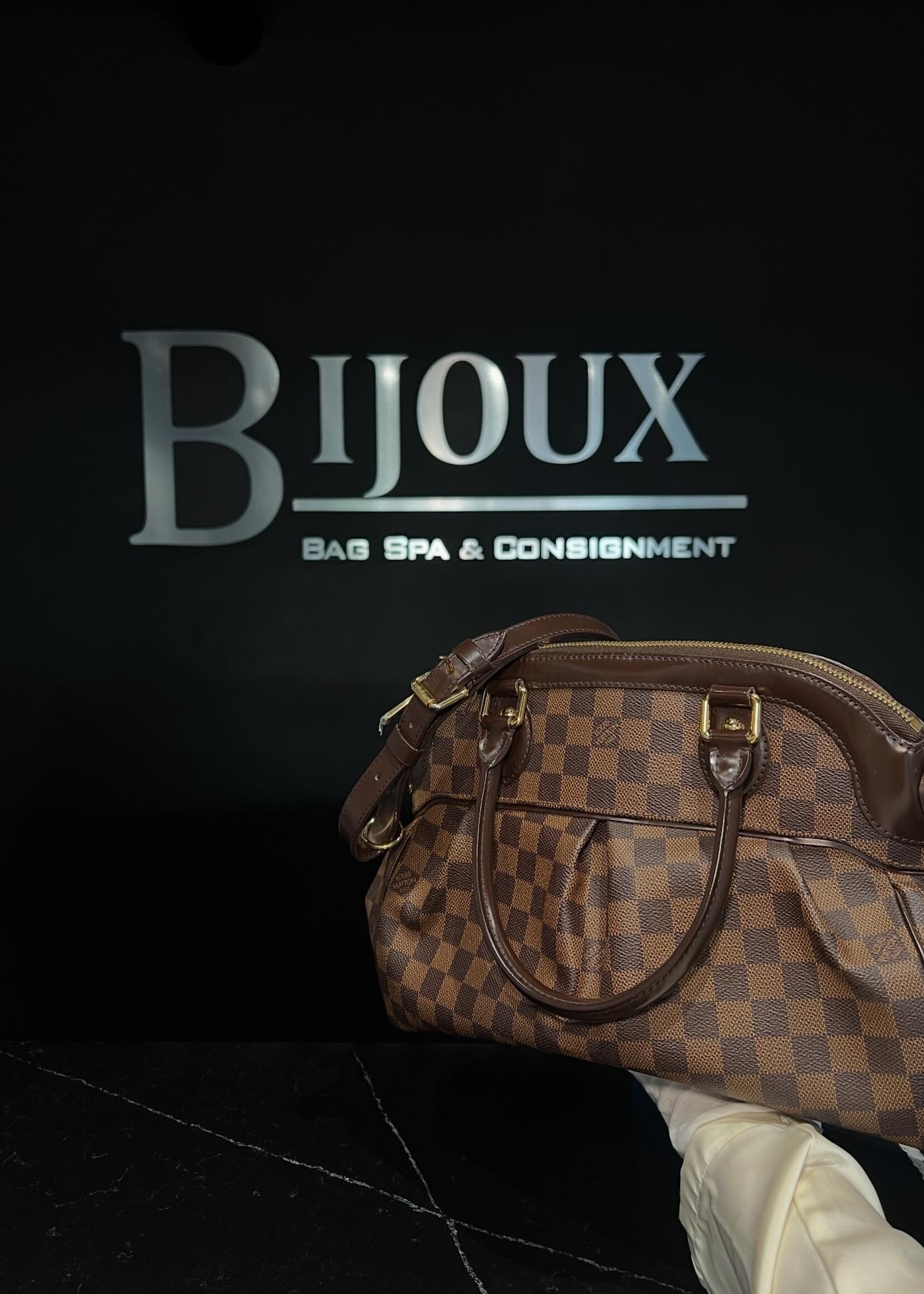 Louis Vuitton Louis Vuitton Trevi PM Damier Ebene