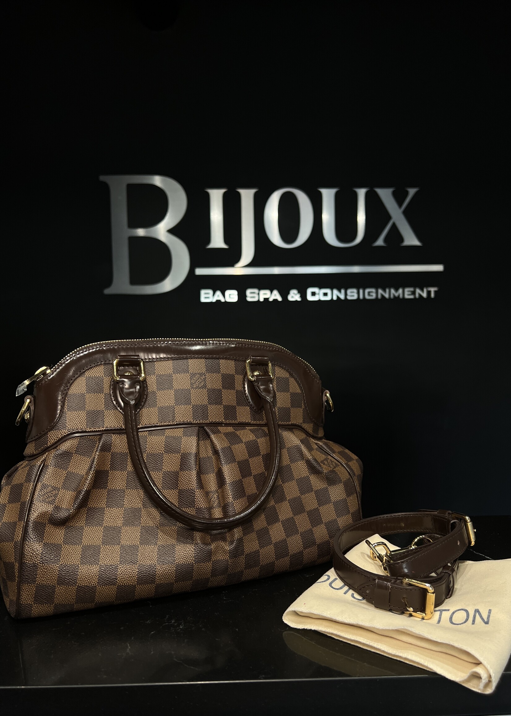 Louis Vuitton Louis Vuitton Trevi PM Damier Ebene