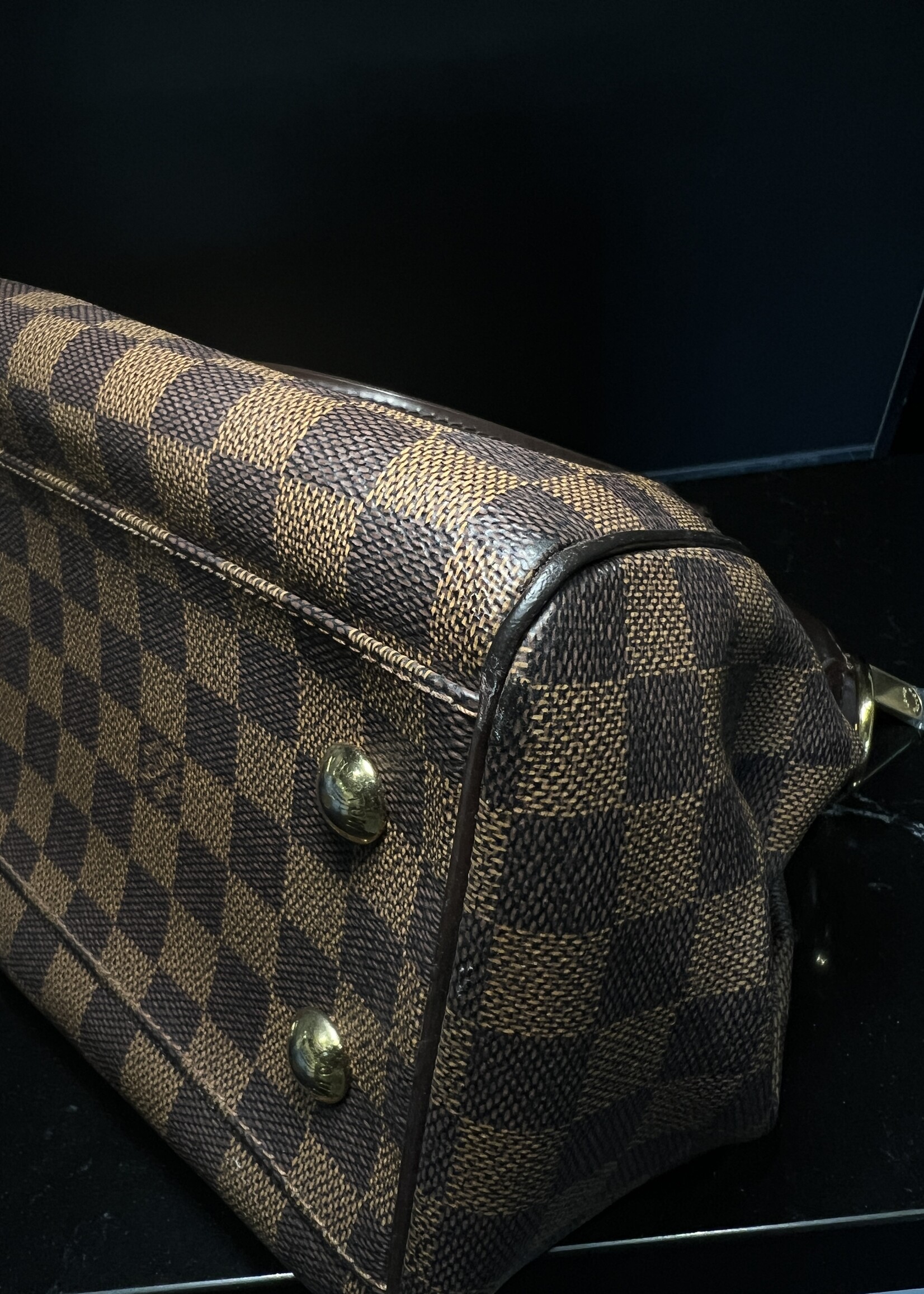 Louis Vuitton Louis Vuitton Trevi PM Damier Ebene