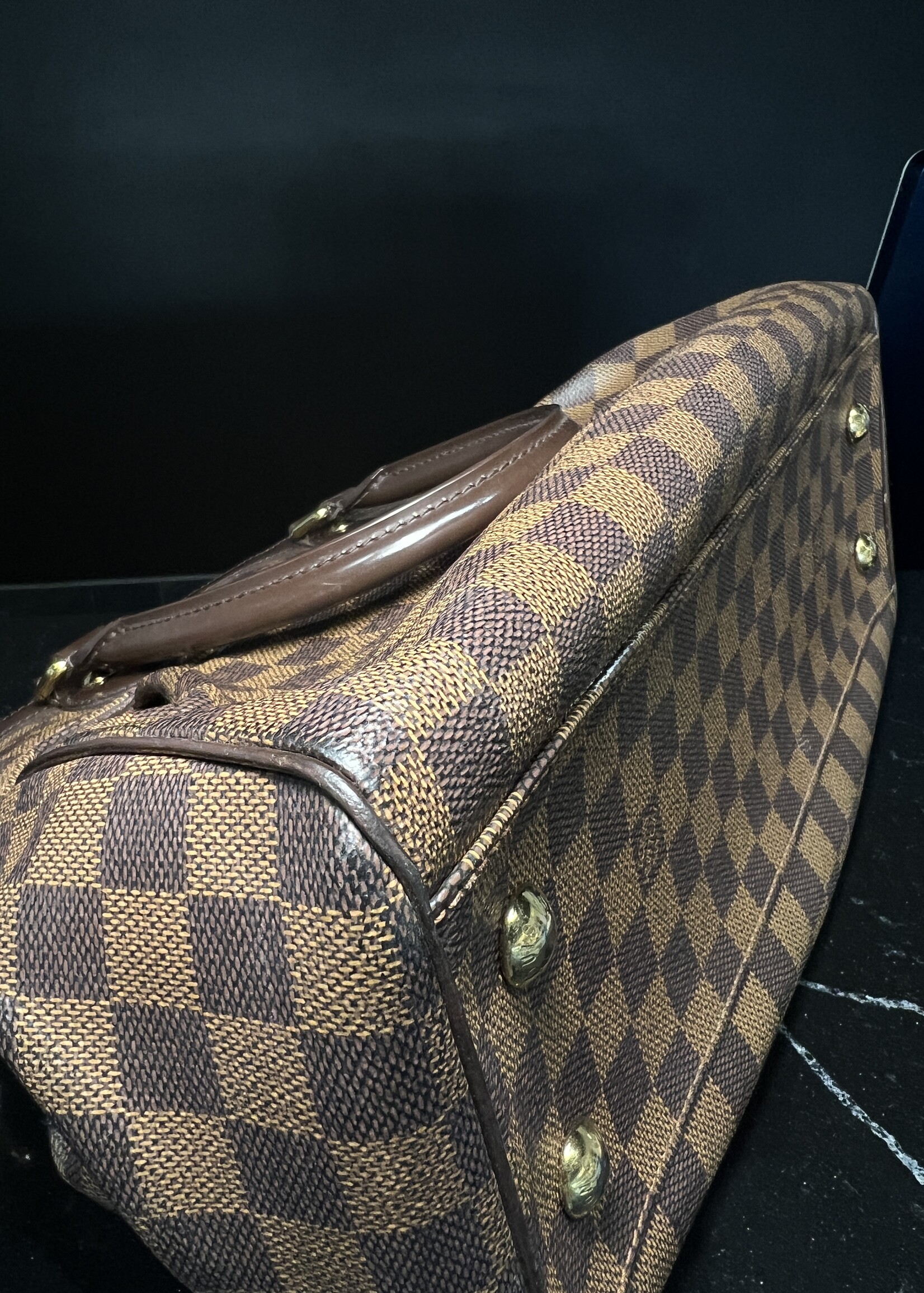 Louis Vuitton Louis Vuitton Trevi PM Damier Ebene