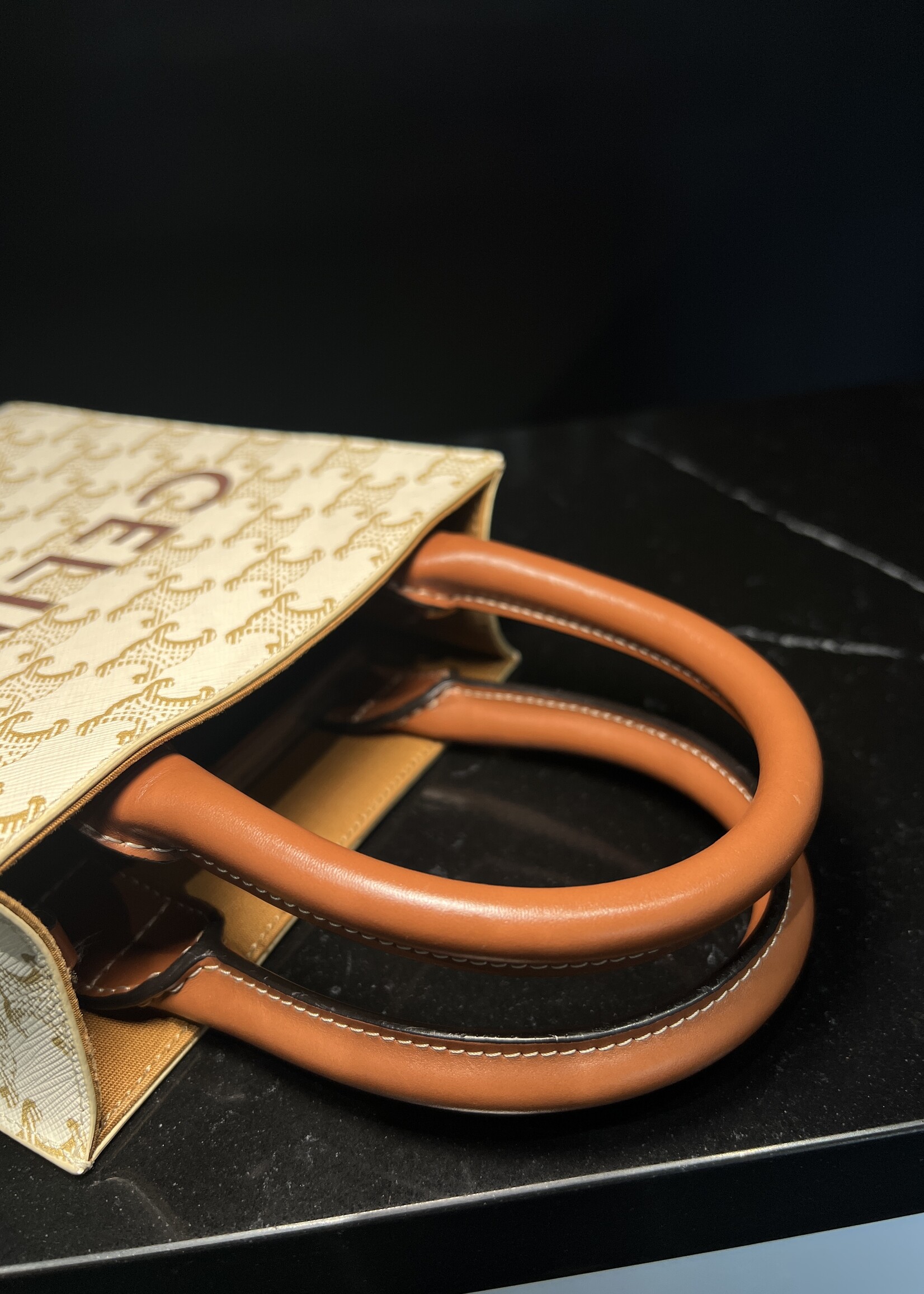 Celine  Triomphe Mini Vertical Cabas