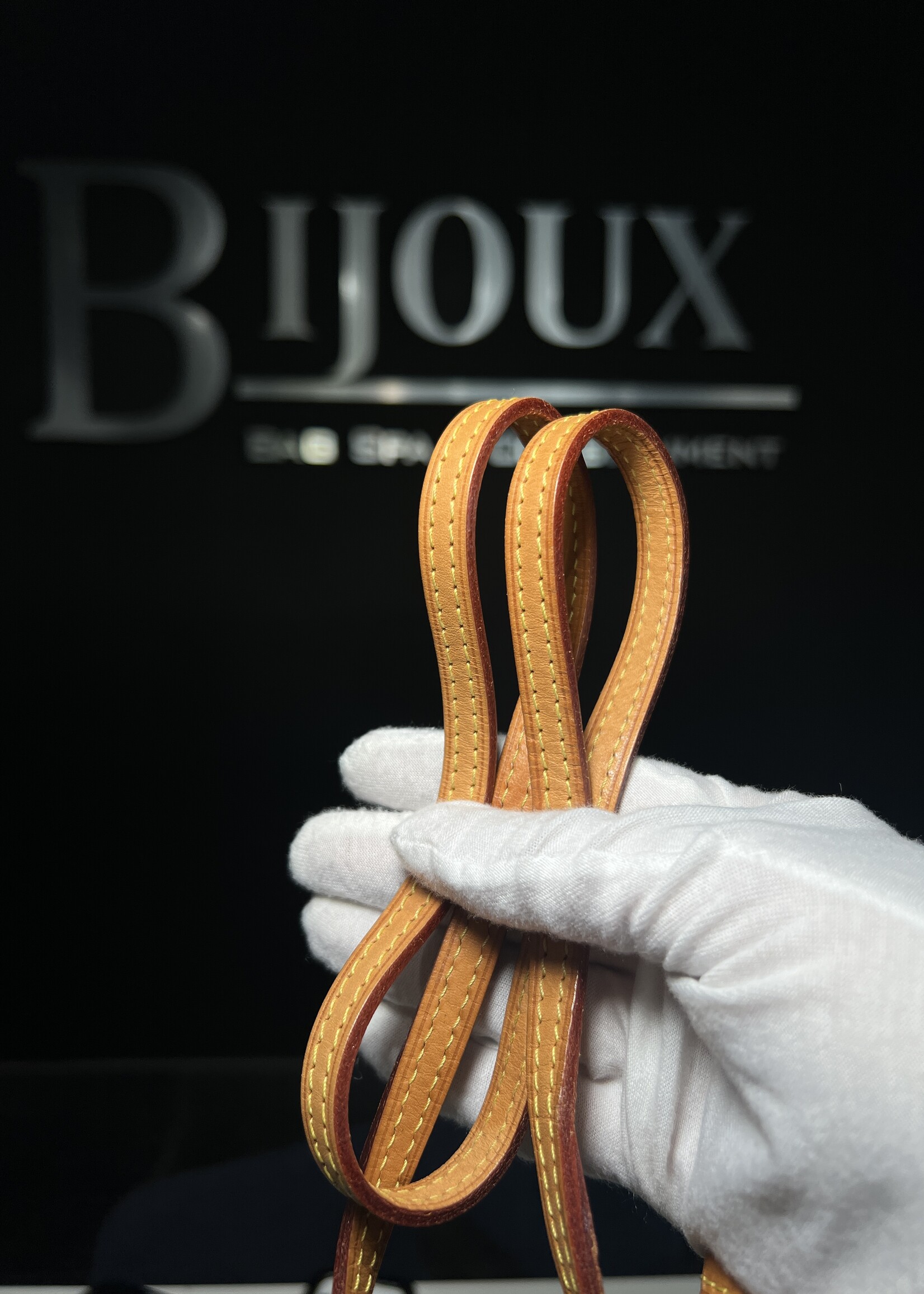 Louis Vuitton Louis Vuitton Tahitienne Nano Neo