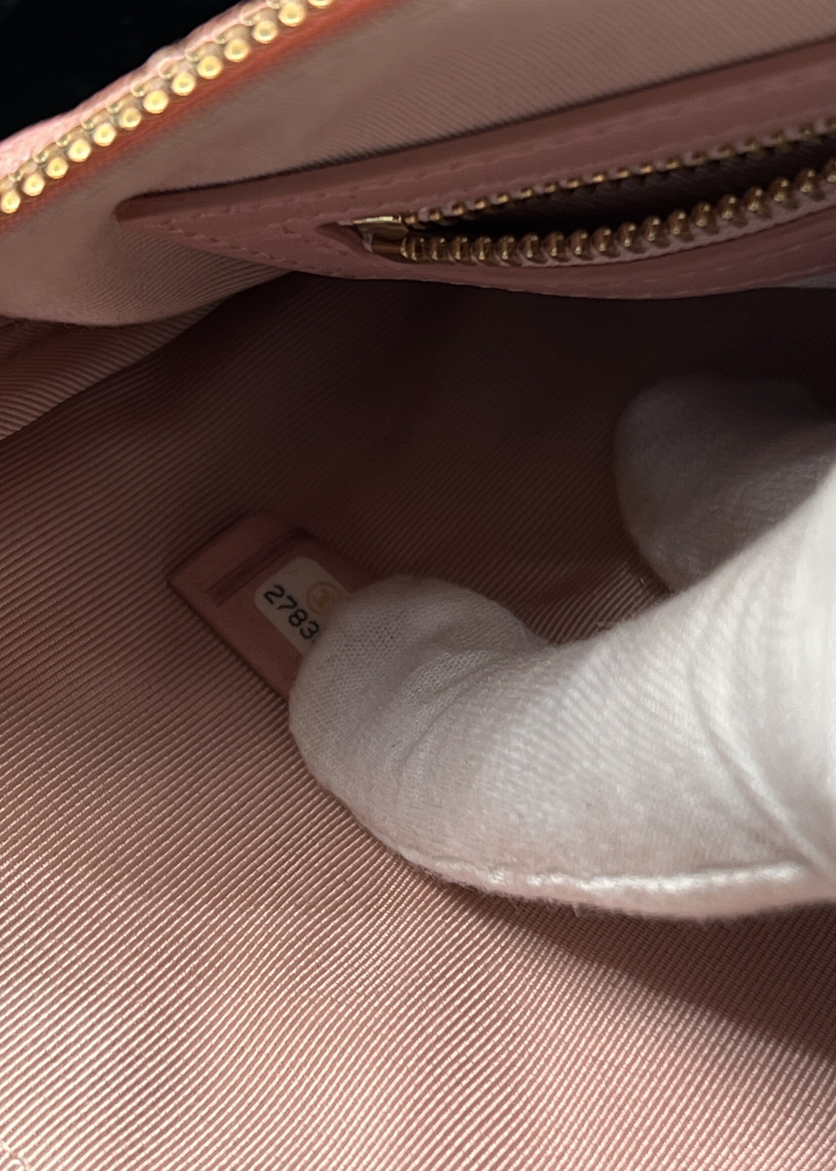 Chanel SOLD - Chanel Iridescent 19S Pearl Clutch