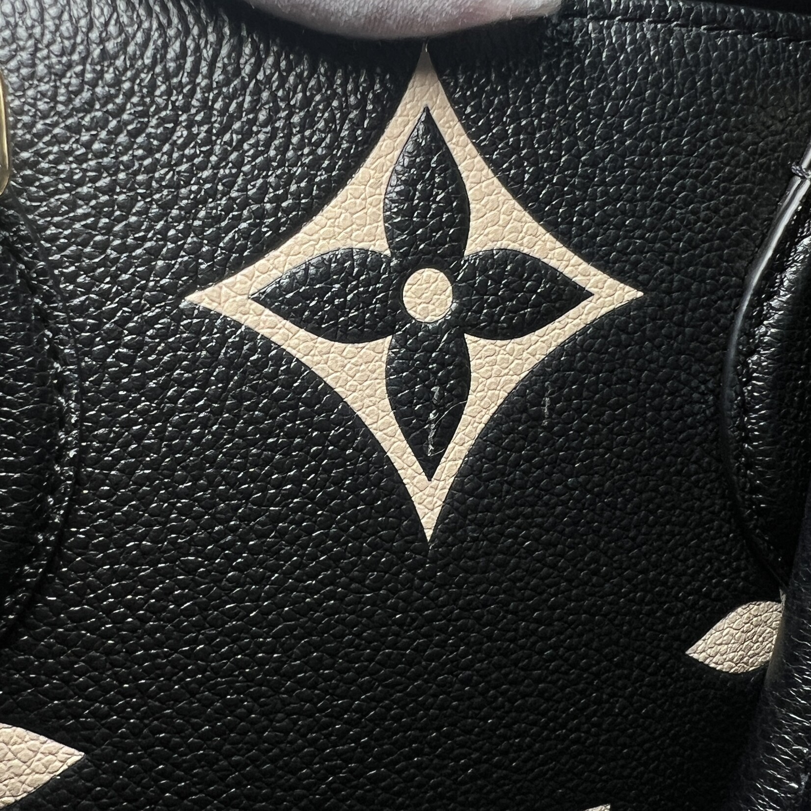 Louis Vuitton Louis Vuitton On The Go MM Bicolor